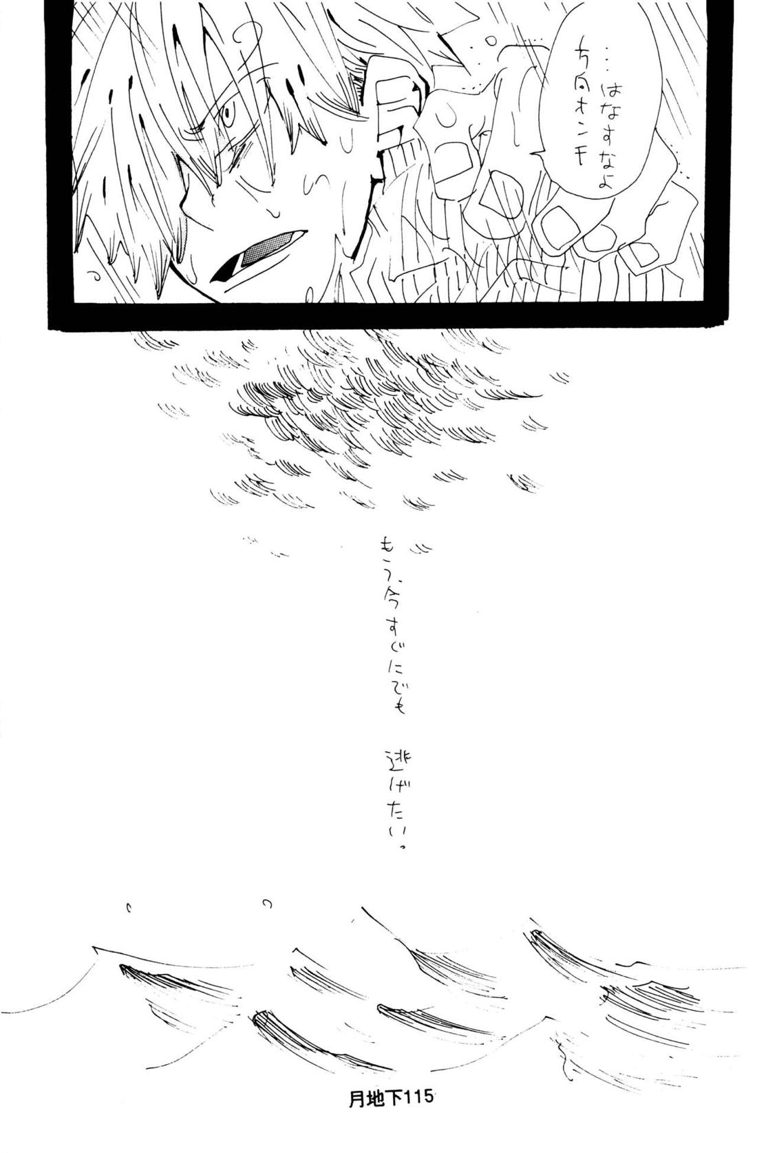 バラの花 41ページ