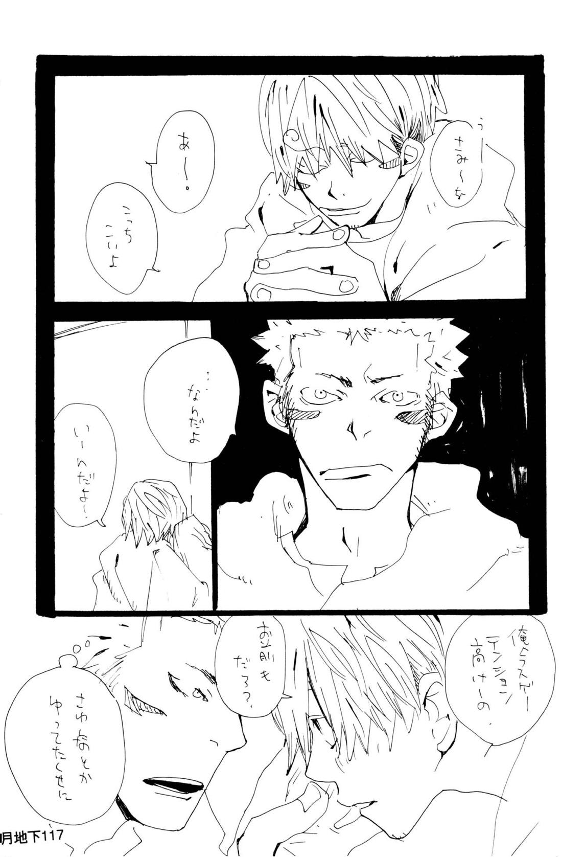 バラの花 43ページ