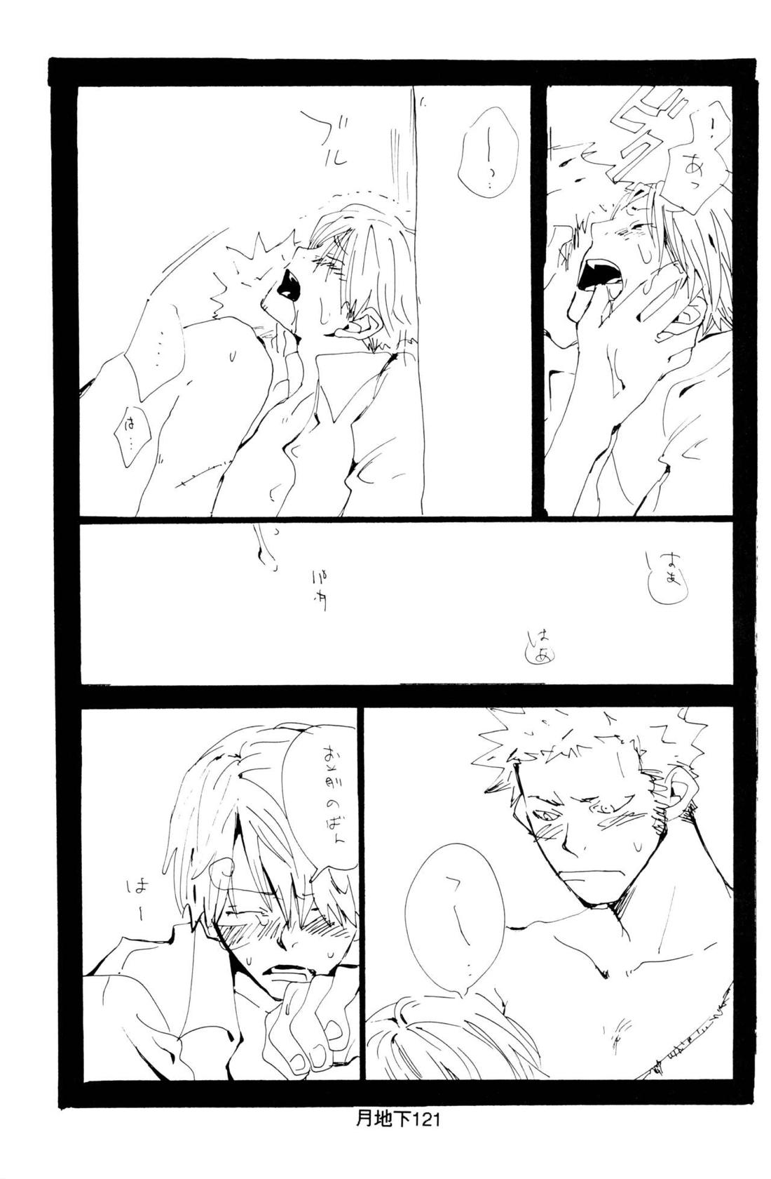 バラの花 47ページ