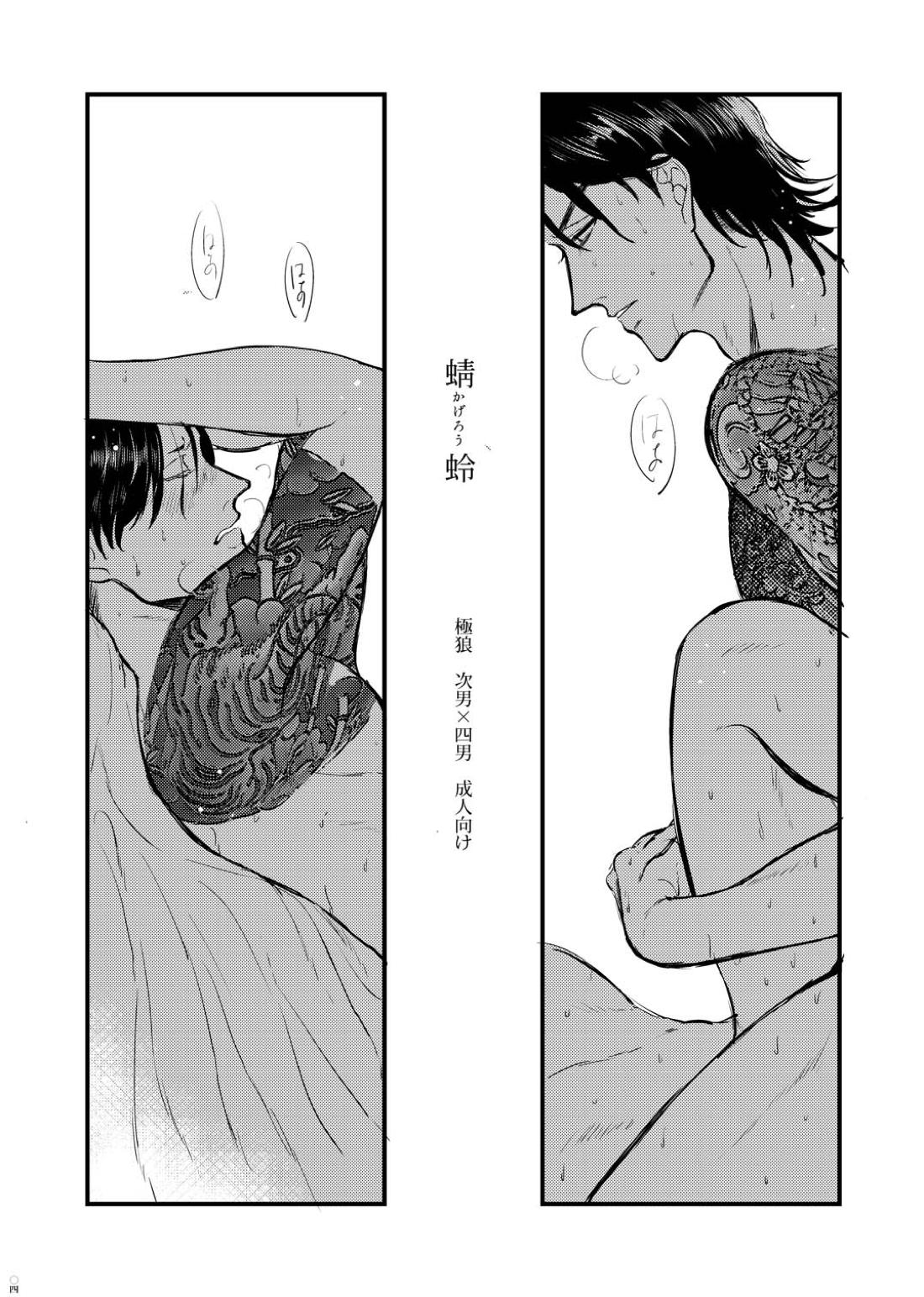 蜻蛉 3ページ