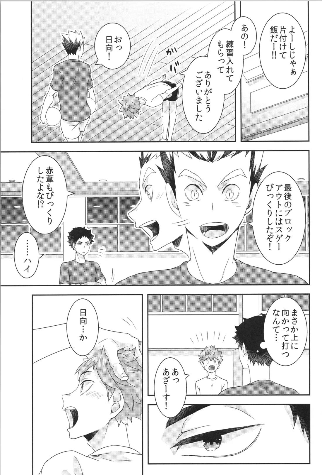 日向受け再録本 OTHER BOX 2 100ページ