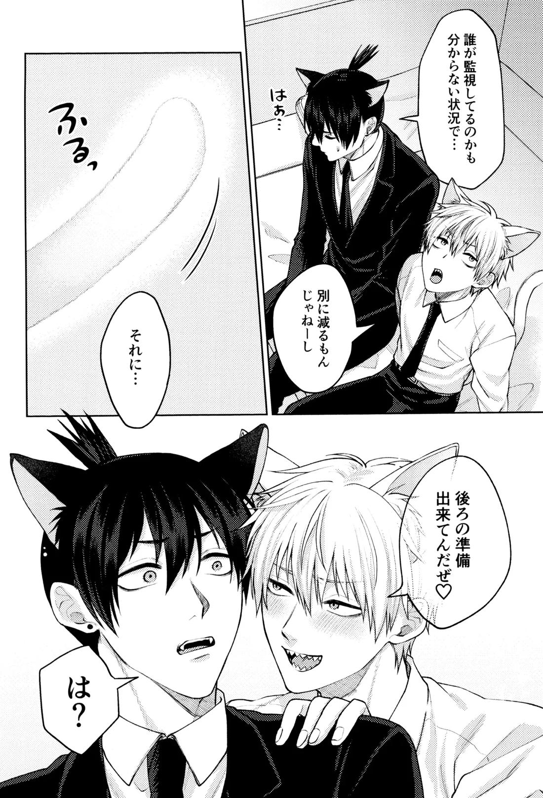 にゃんにゃんごろごろ 9ページ