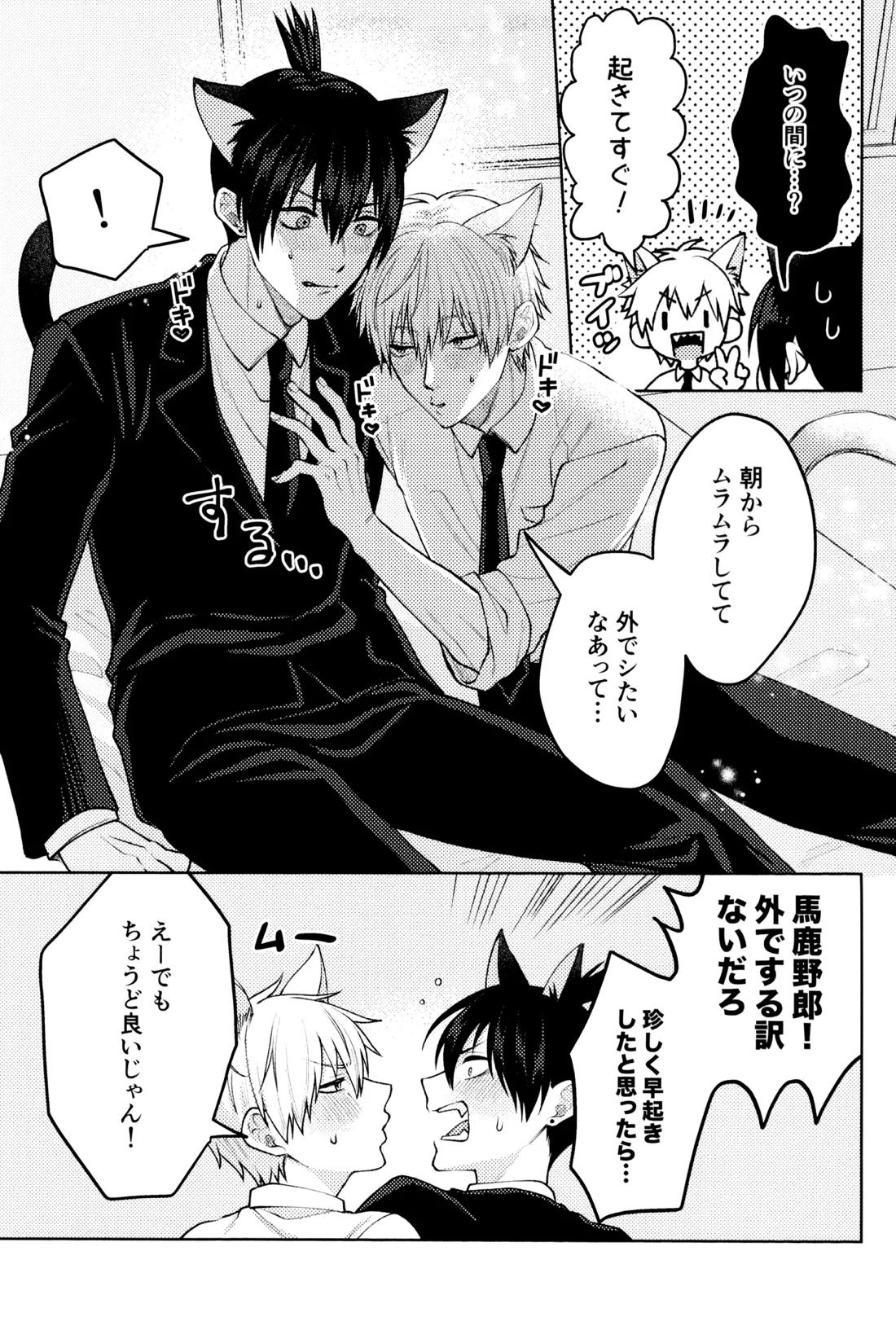 にゃんにゃんごろごろ 10ページ