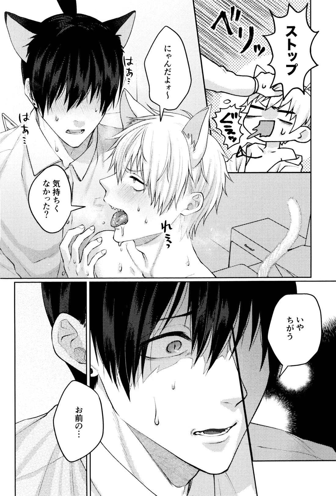 にゃんにゃんごろごろ 19ページ