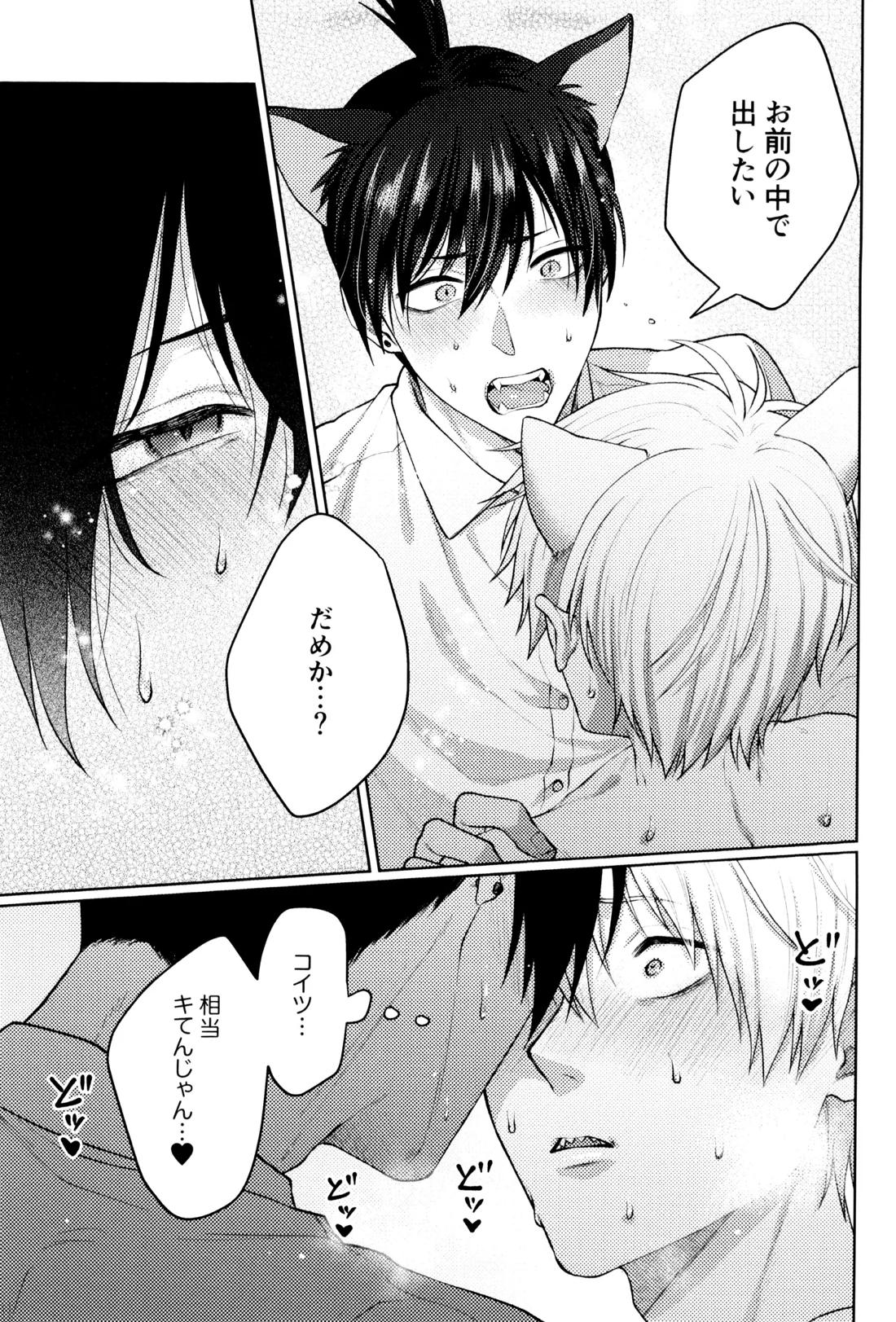 にゃんにゃんごろごろ 20ページ