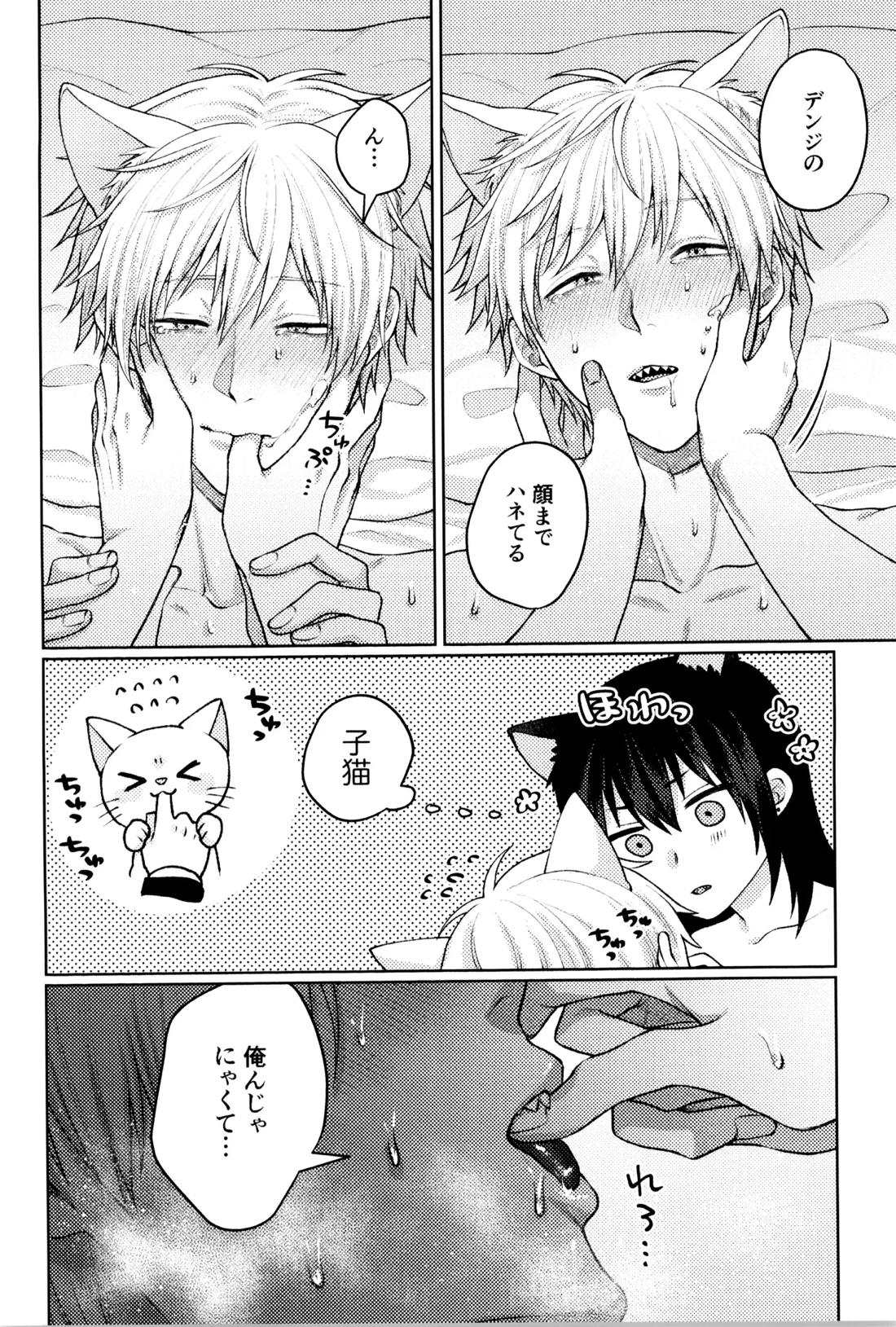にゃんにゃんごろごろ 27ページ