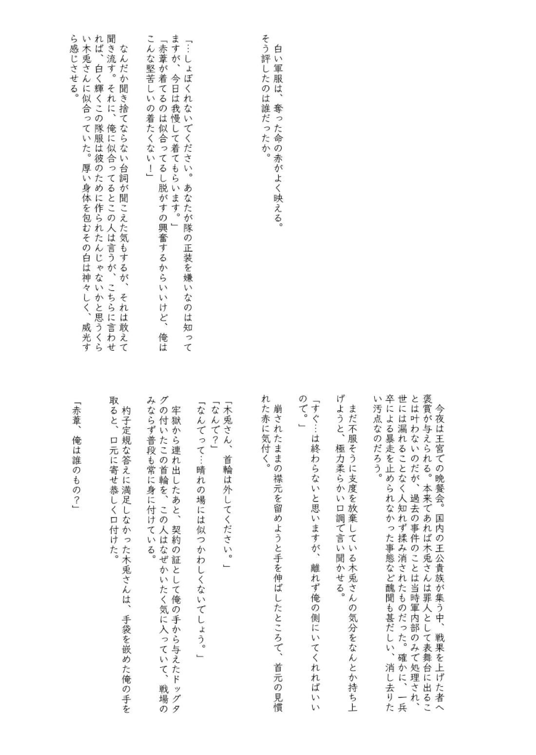 captured 17ページ