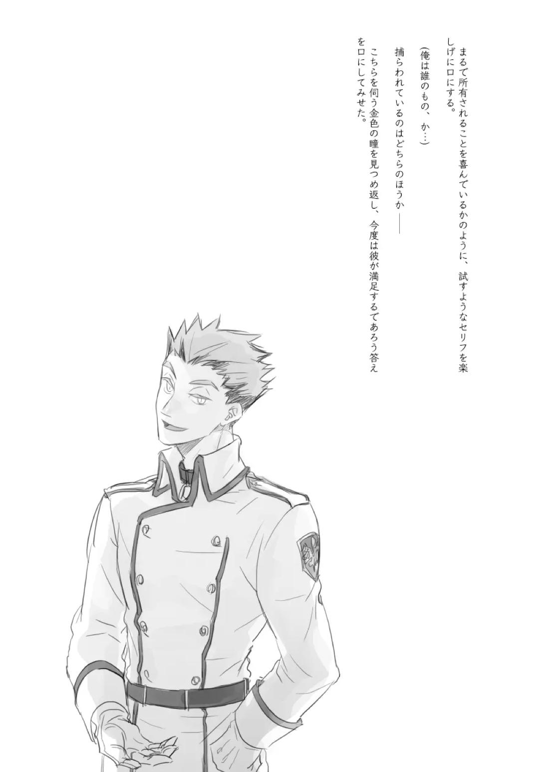 captured 18ページ