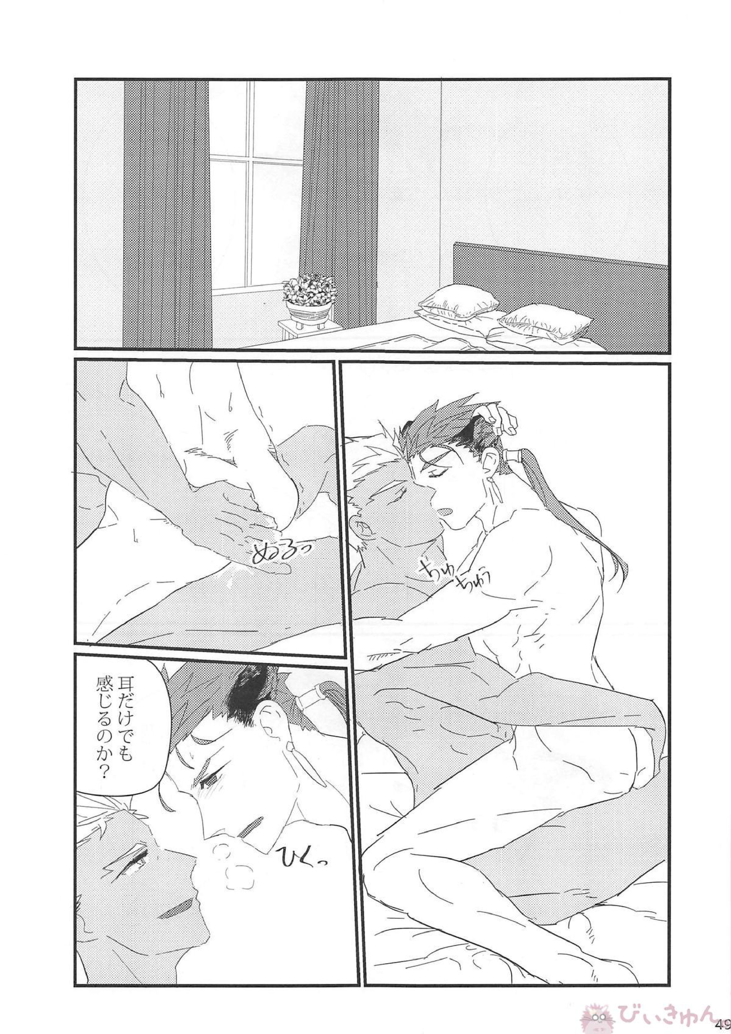 猛犬行動矯正書 50ページ