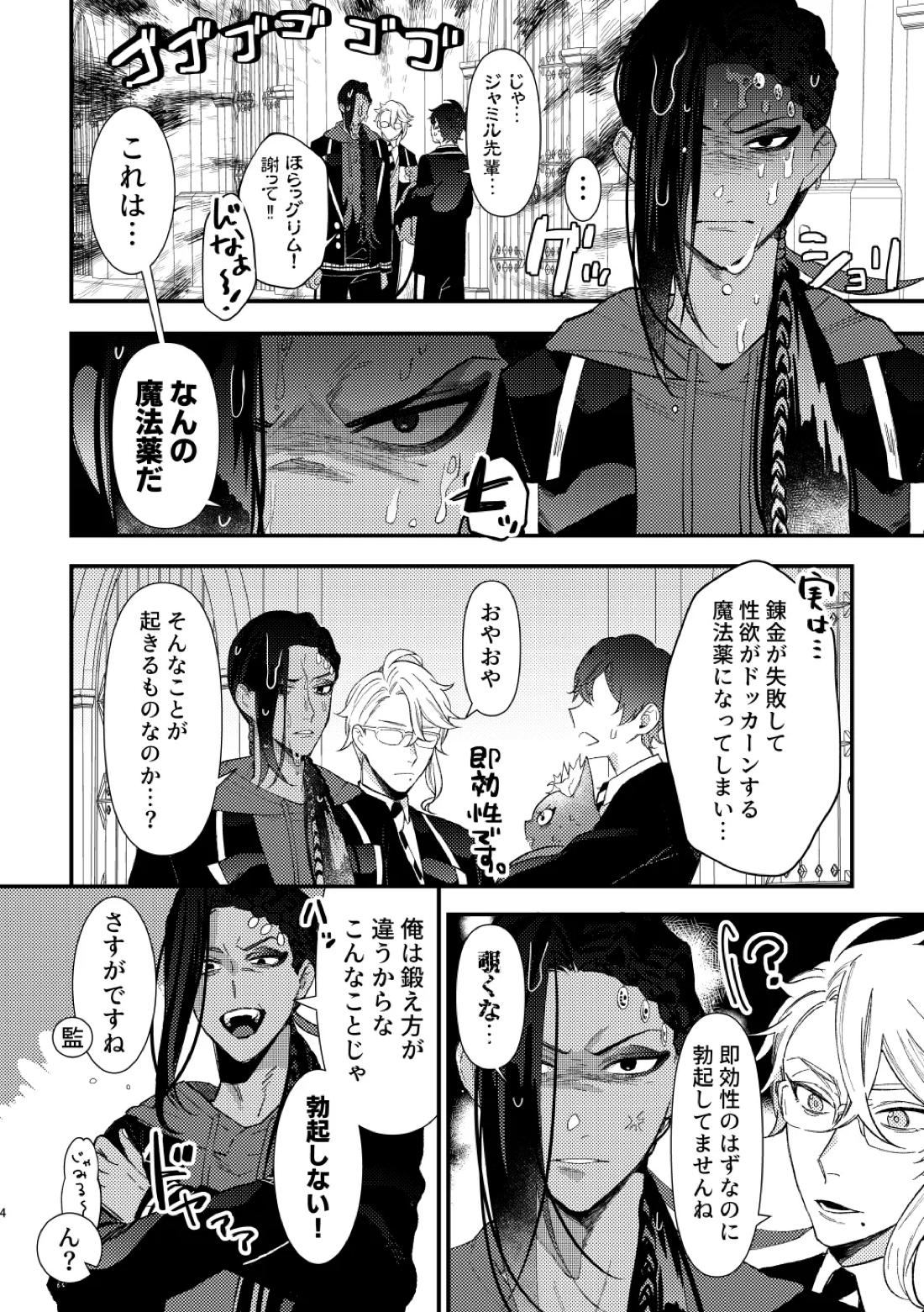 全ては魔法薬のせいだ 3ページ