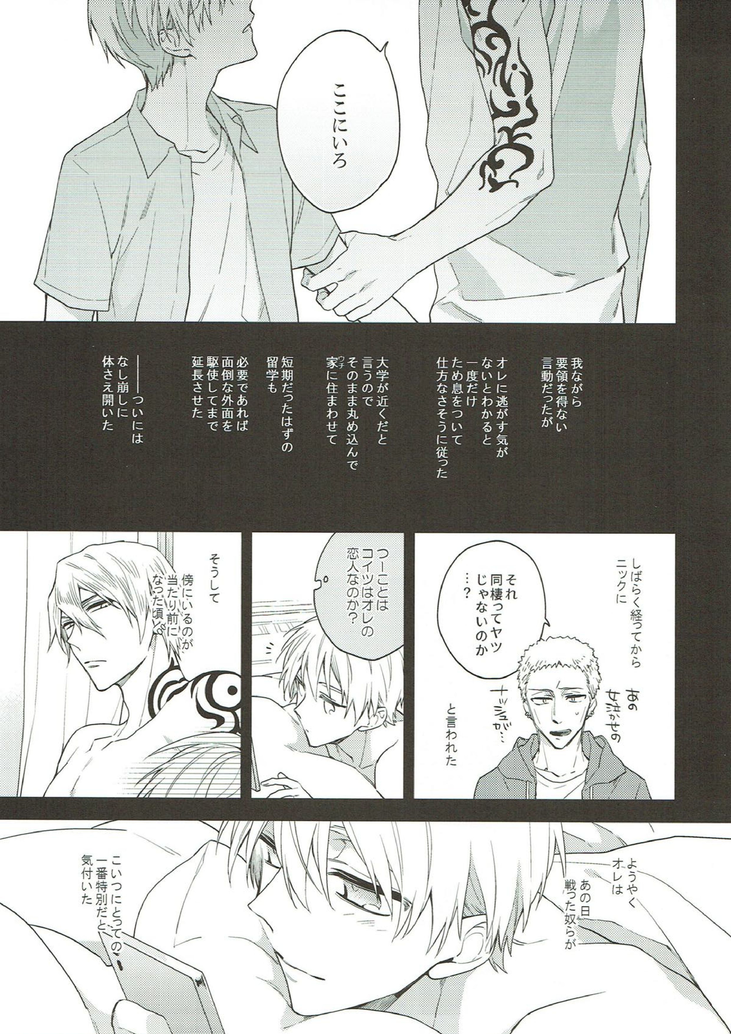 木漏れ日の庭 20ページ