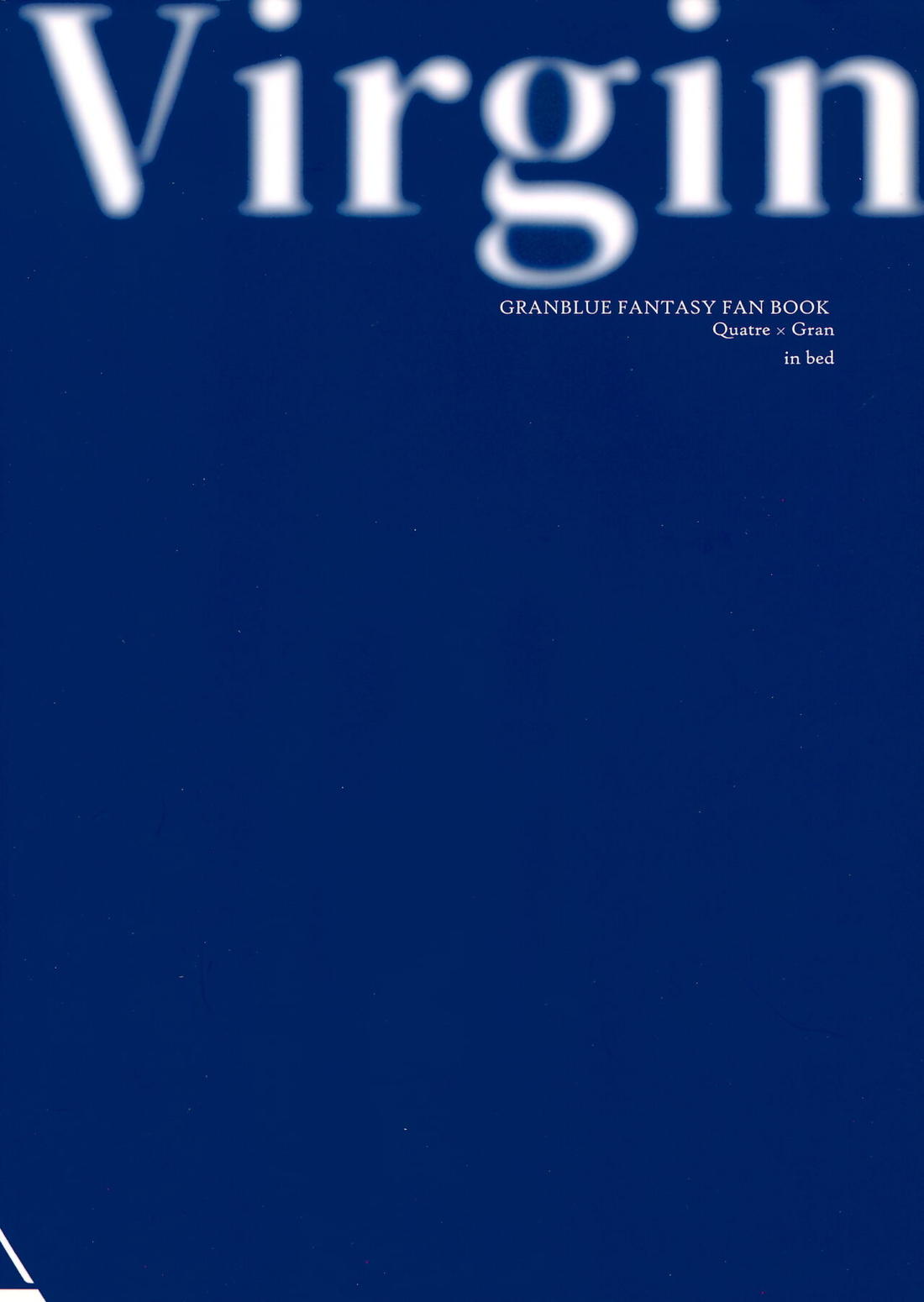 Virgin 22ページ
