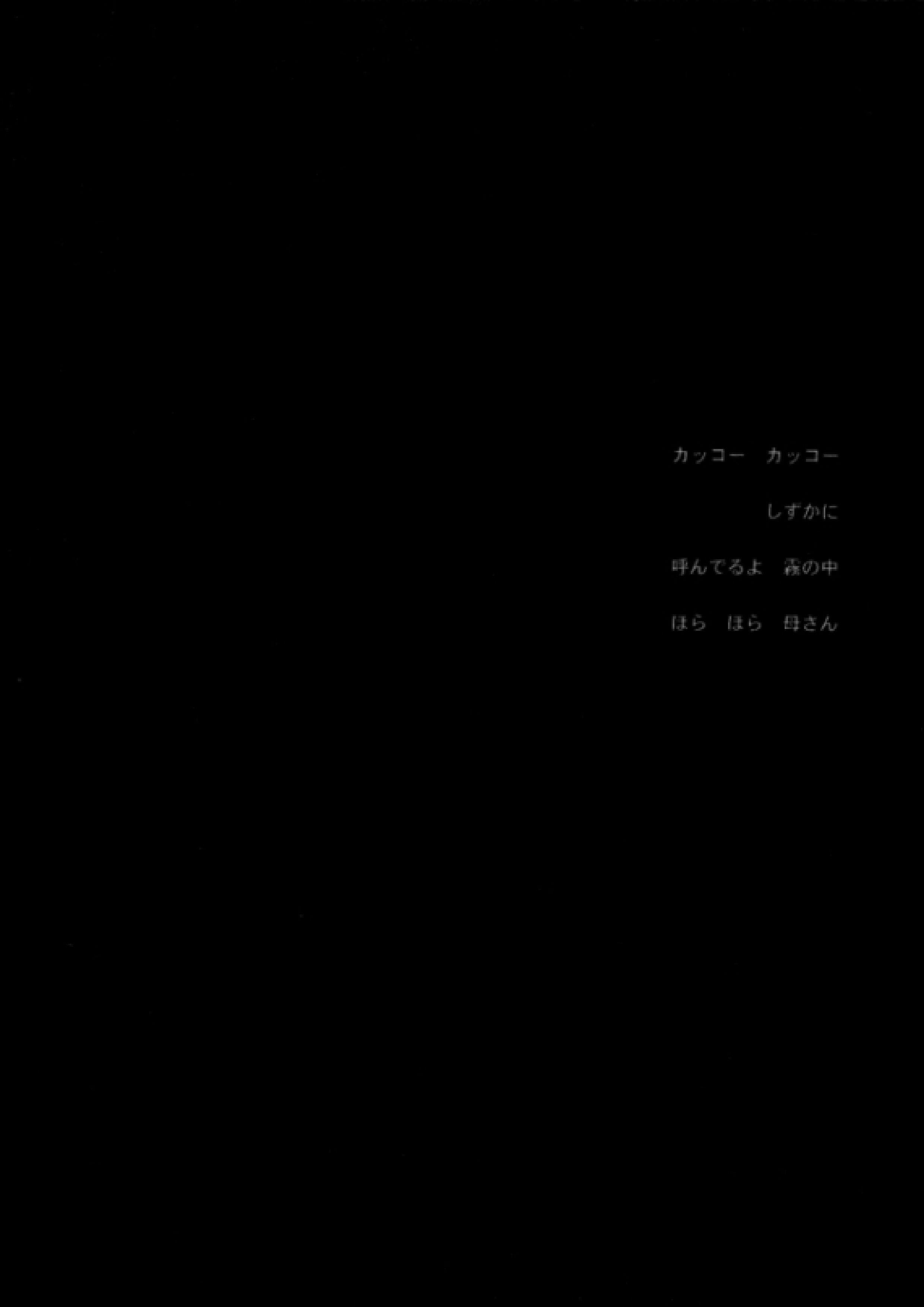 ナイトフライヤー 2ページ