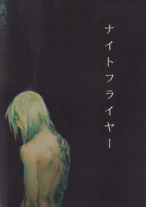 ナイトフライヤー