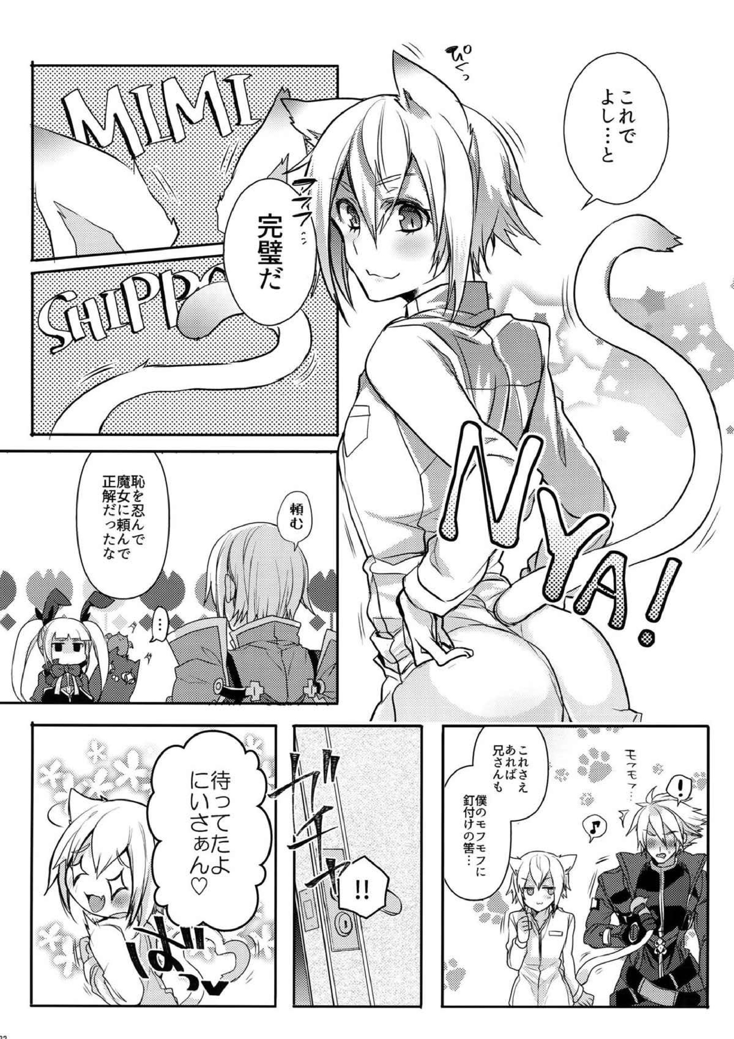 とある衛士の妄想日誌 23ページ