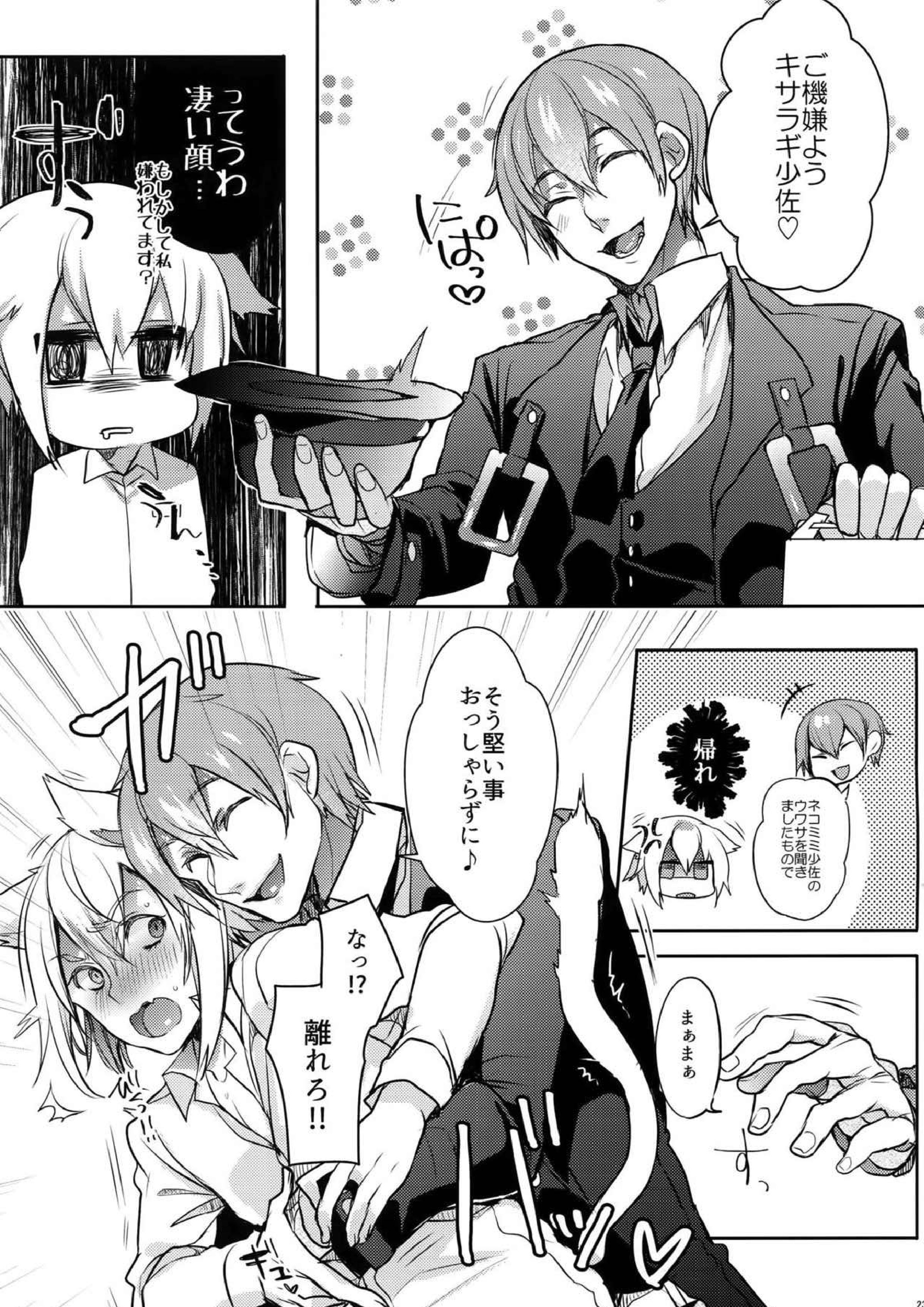 とある衛士の妄想日誌 24ページ