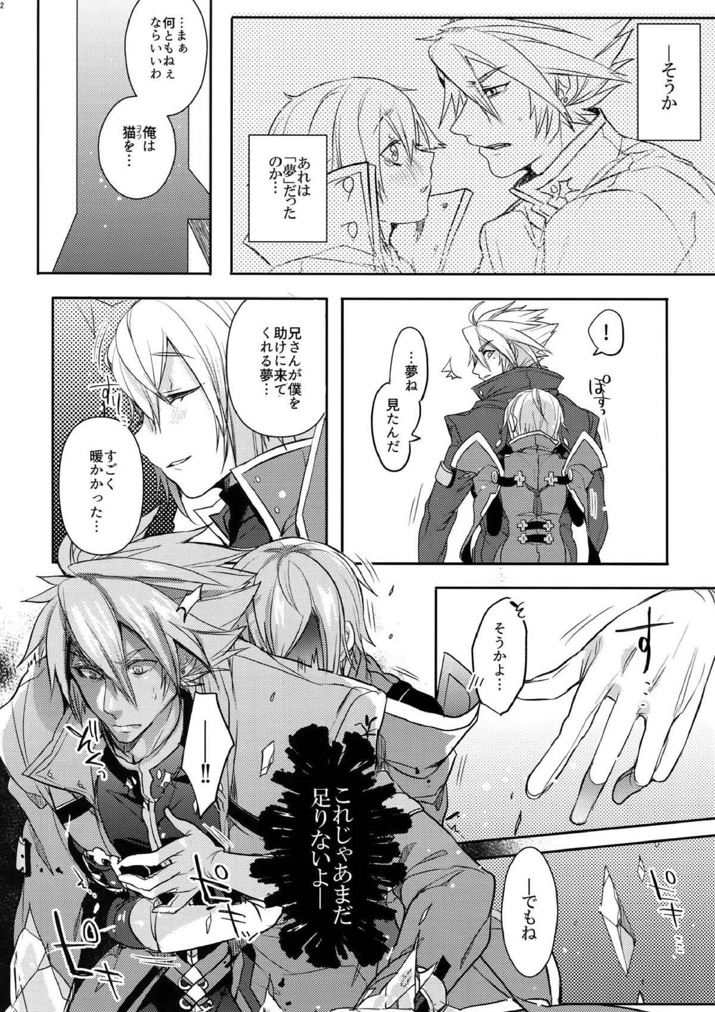 とある衛士の妄想日誌 33ページ