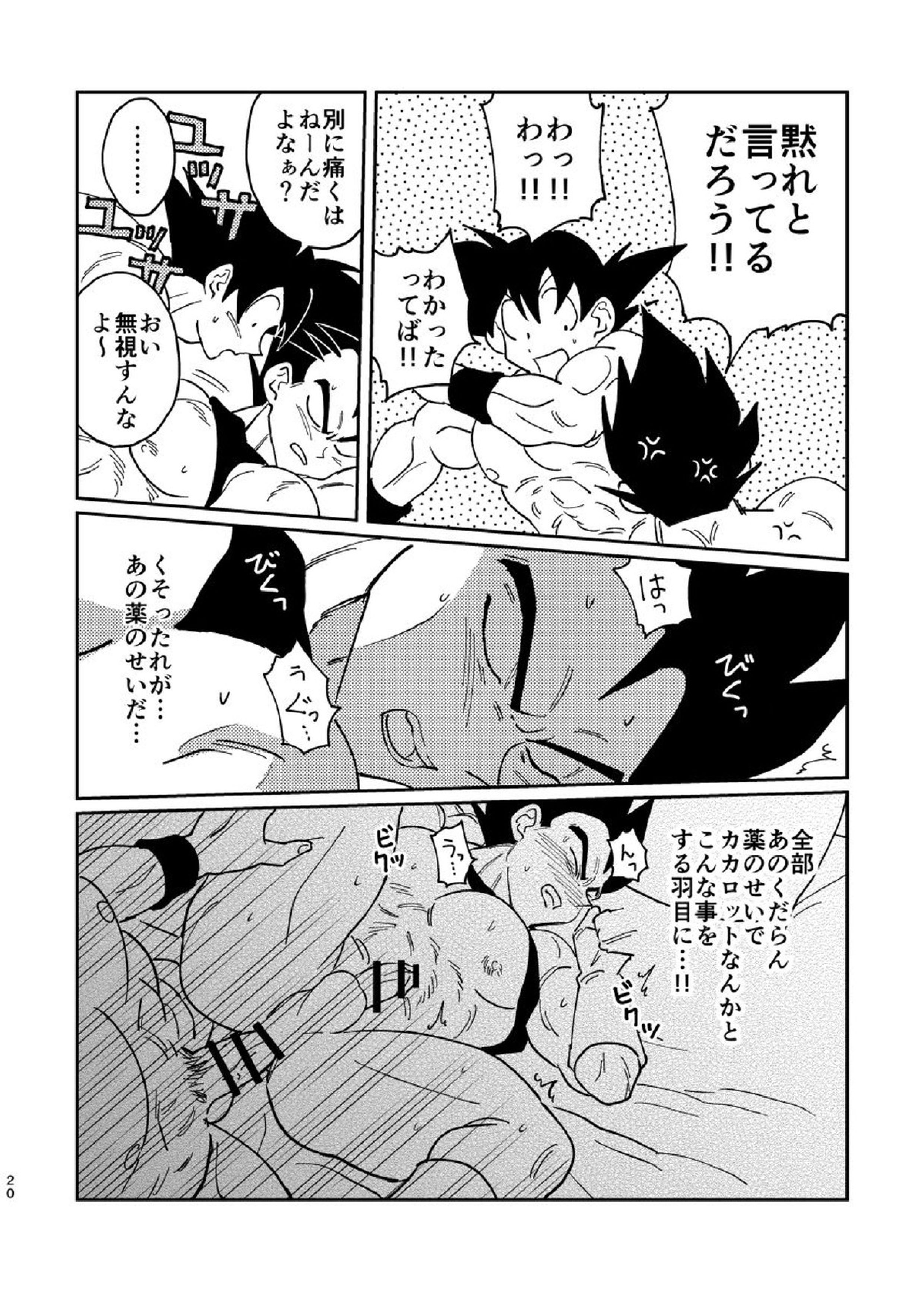 悟空とベジータのボーイズラブ 18ページ