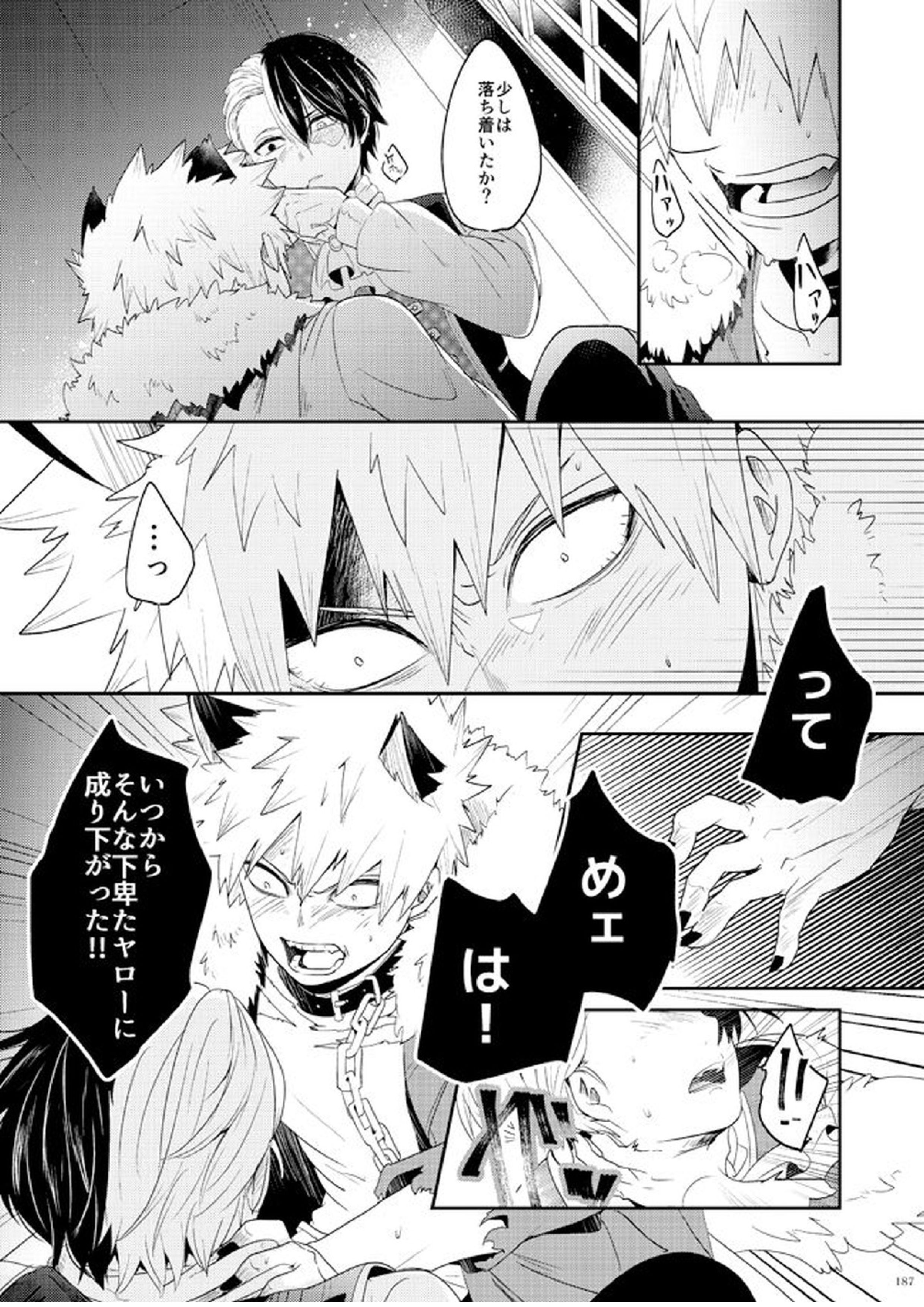 AO 12ページ