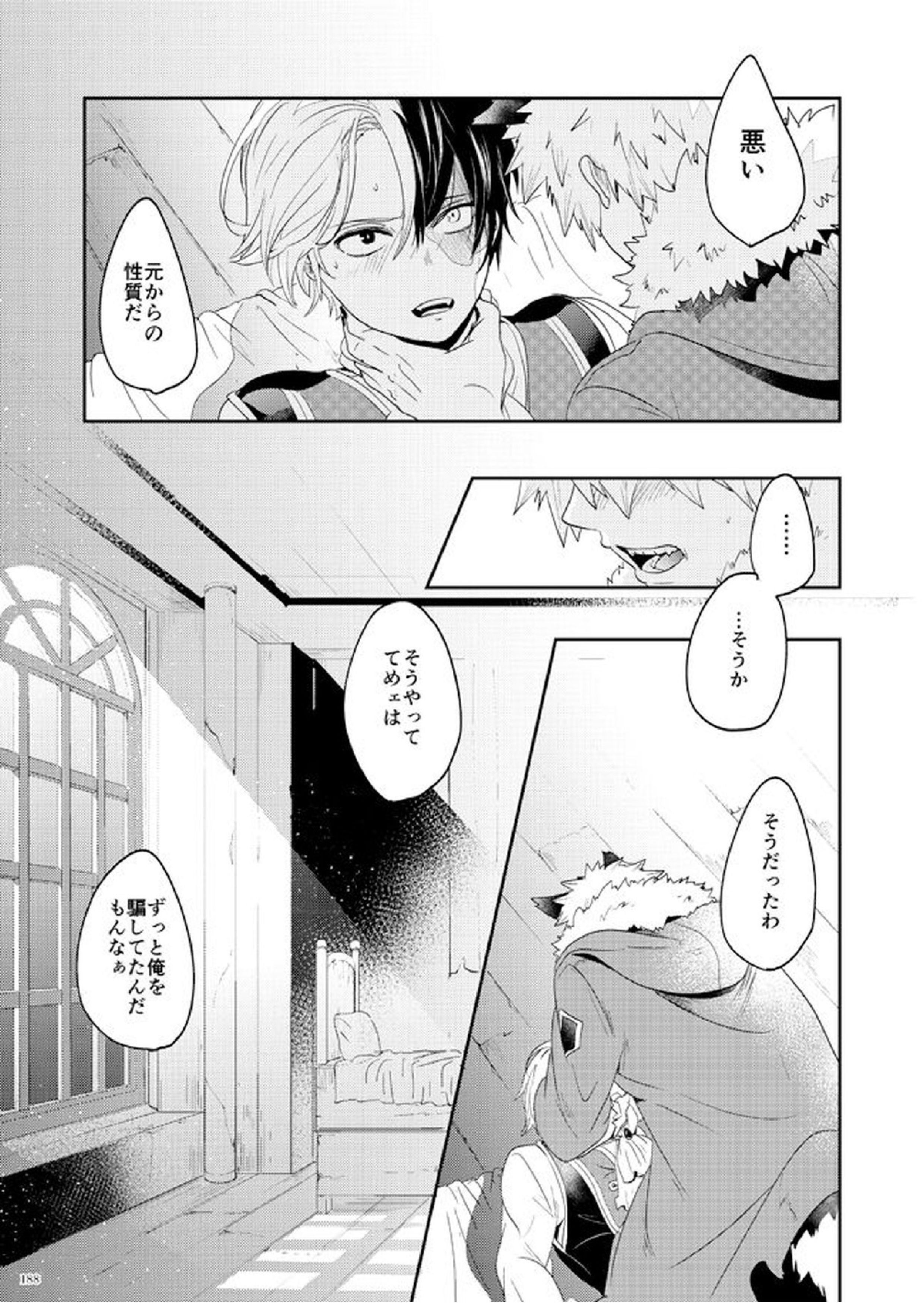 AO 13ページ