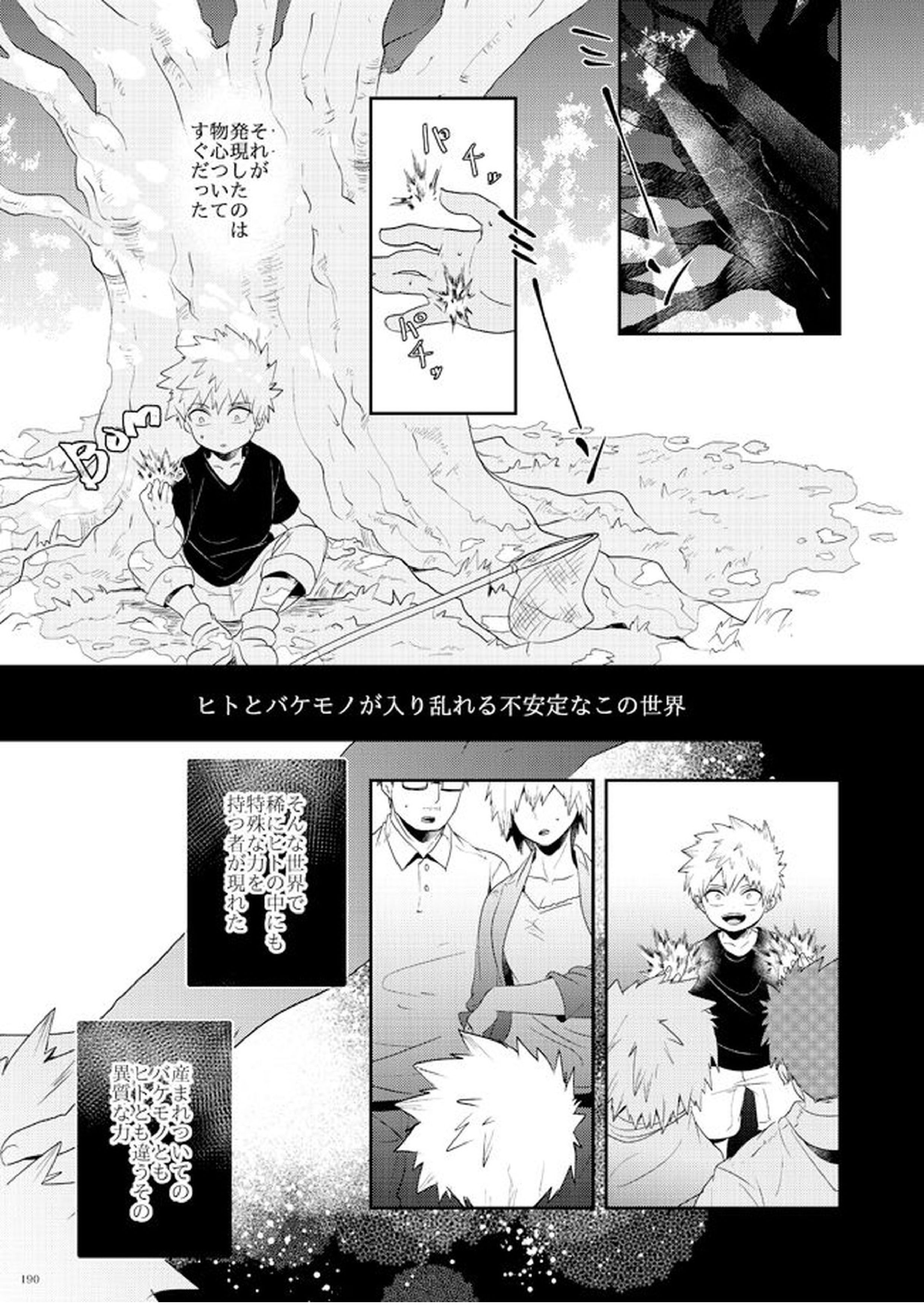 AO 15ページ
