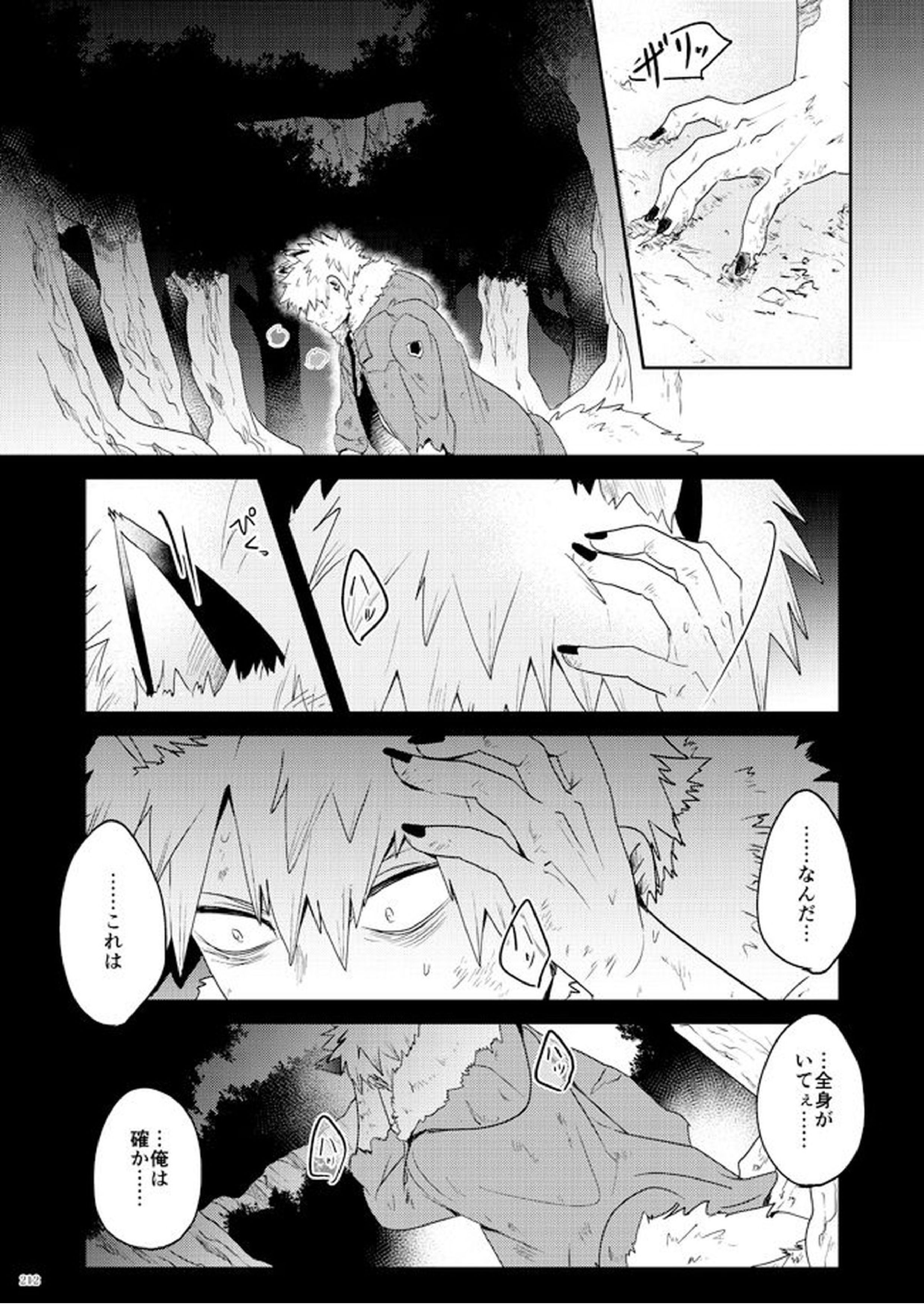 AO 37ページ