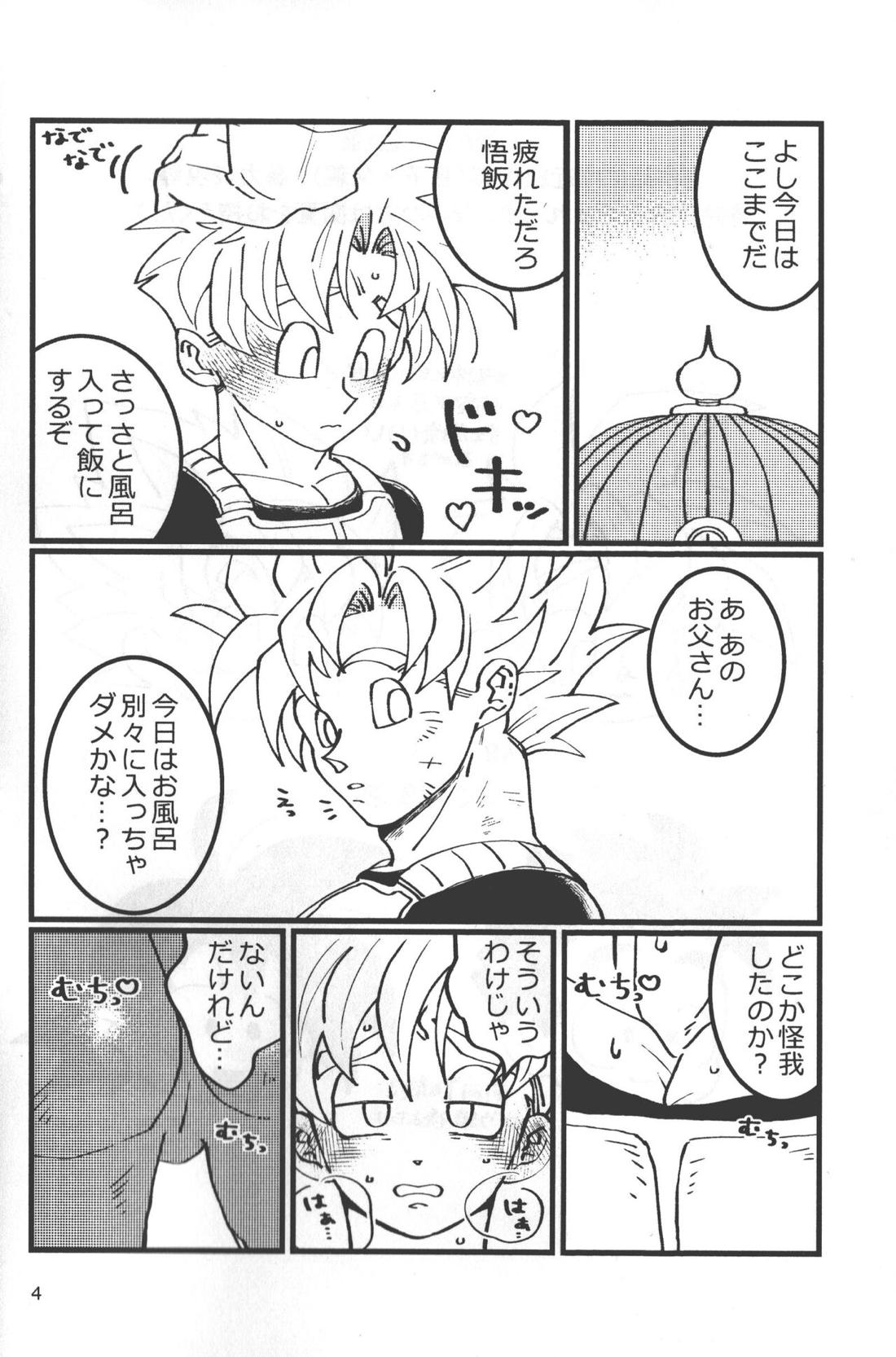 性教育は清く！正しく！！ 3ページ
