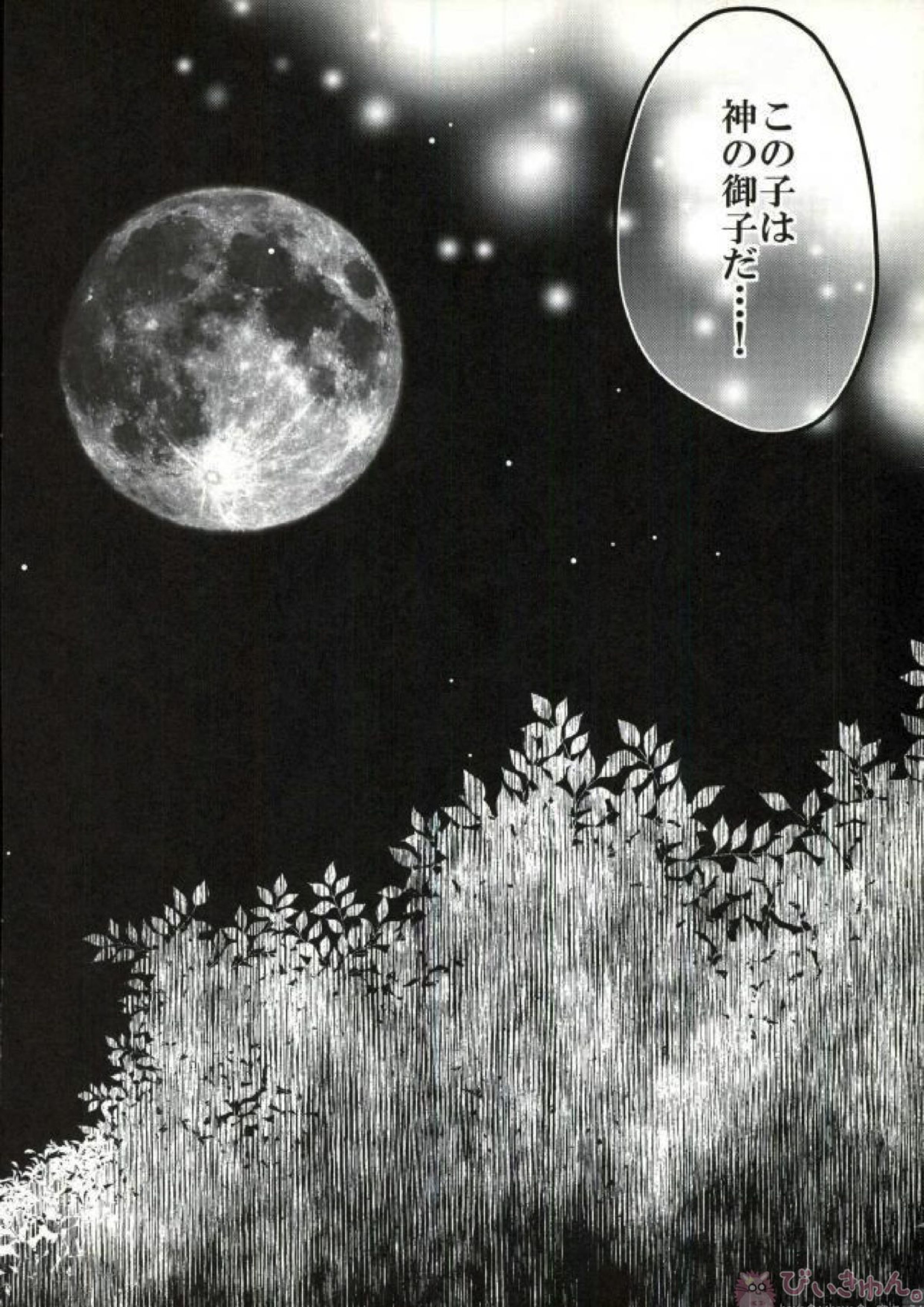 totus tuus 5ページ