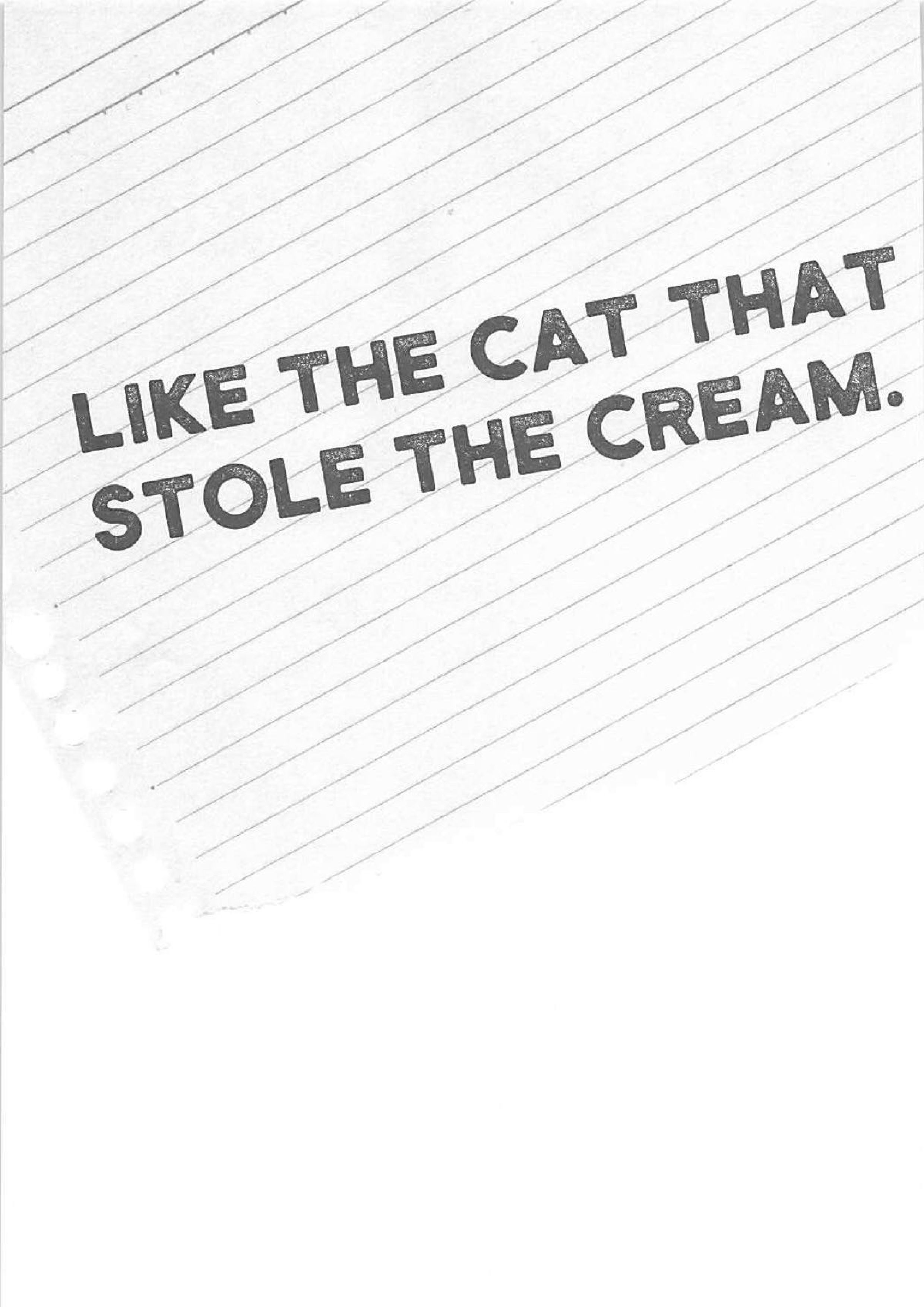 Like the cat that stole the cream. 2ページ