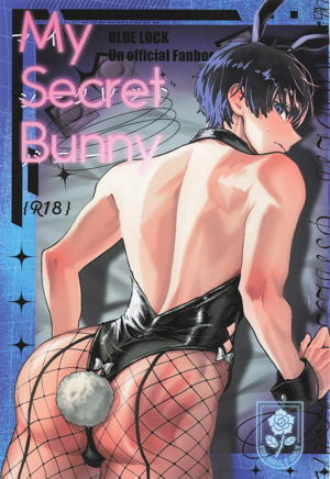My Secret Bunny