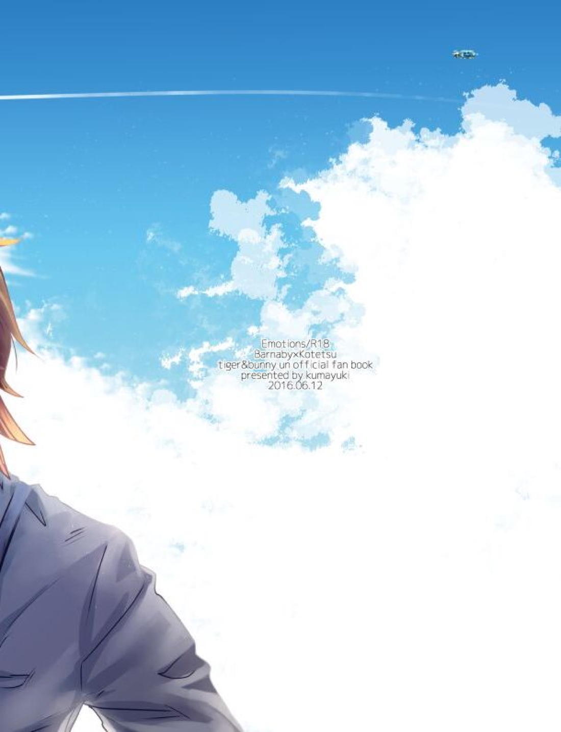 Emotions 29ページ