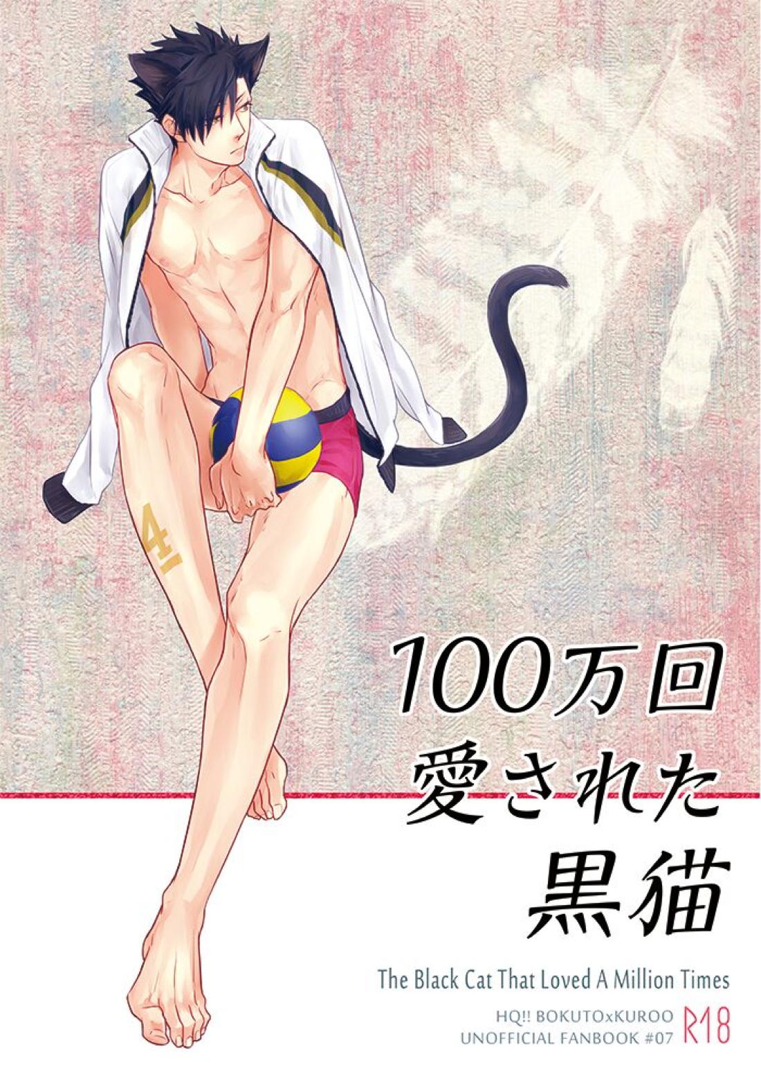 百万回愛された黒猫 1ページ