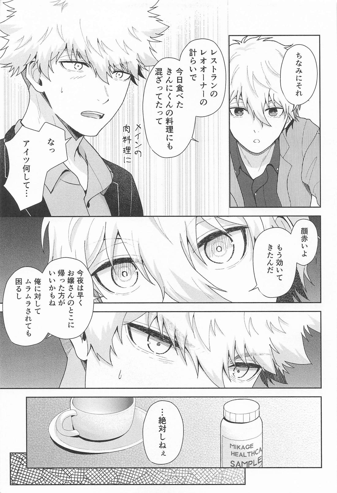 ミカゲヘルスケア エゴパワーZ 4ページ