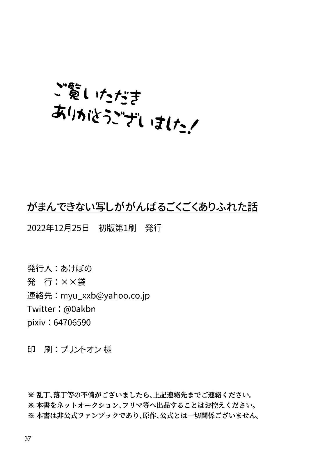 がまんできない写しががんばるごくごくありふれた話 34ページ