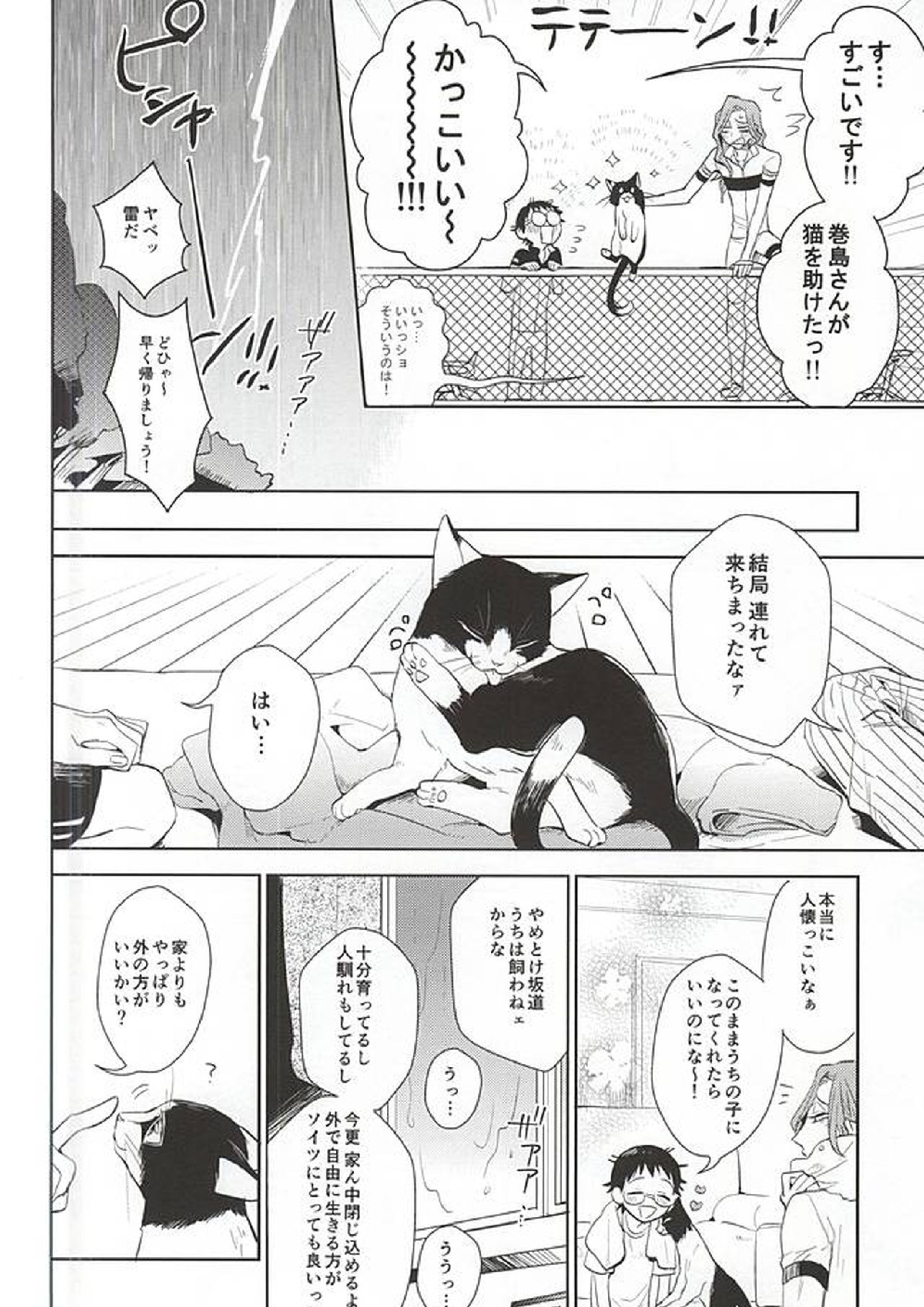 巻島さんが猫になってしまいました。 5ページ