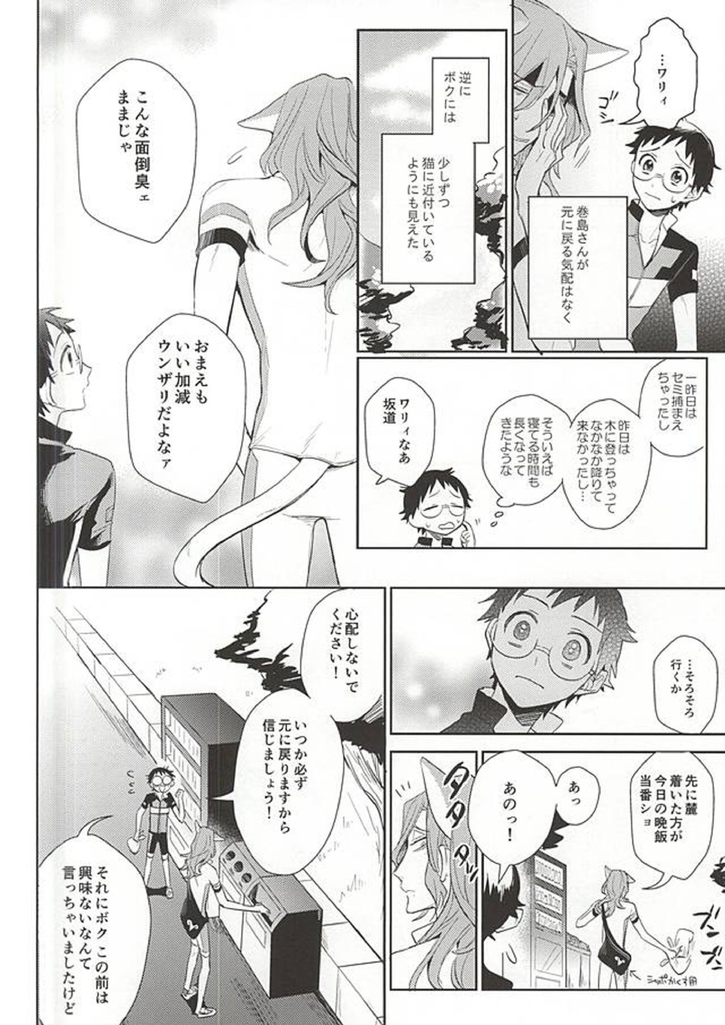 巻島さんが猫になってしまいました。 13ページ
