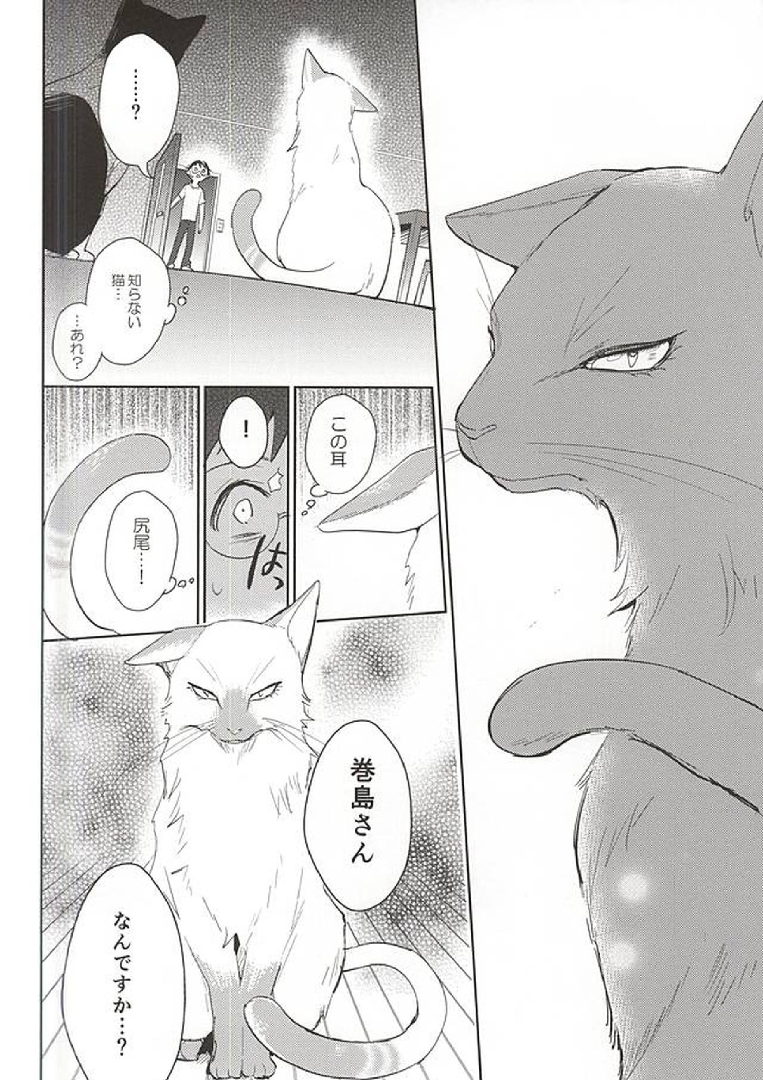 巻島さんが猫になってしまいました。 25ページ