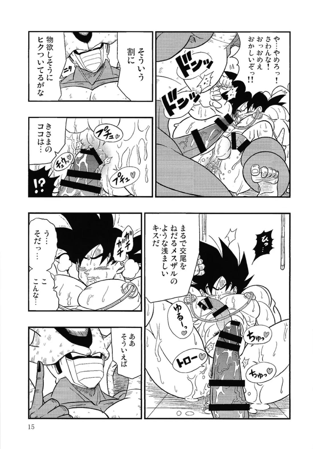 本当はHな劇場版 ドラゴンボールZ ～とびっきりの最強対最強～ 14ページ