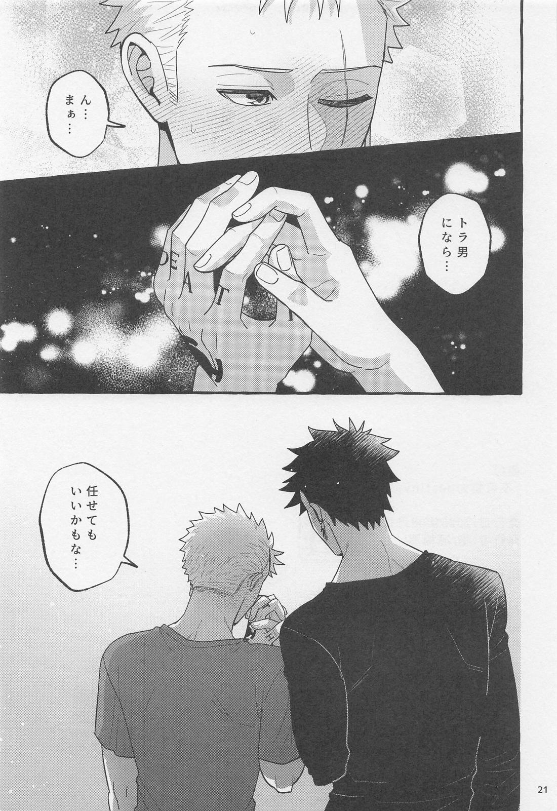 不可抗力 destiny 20ページ