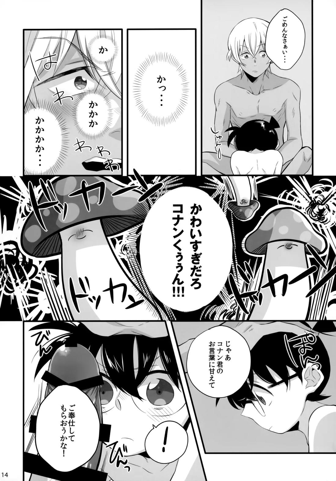 DOKIDOKIGOHOSHI!!! 13ページ