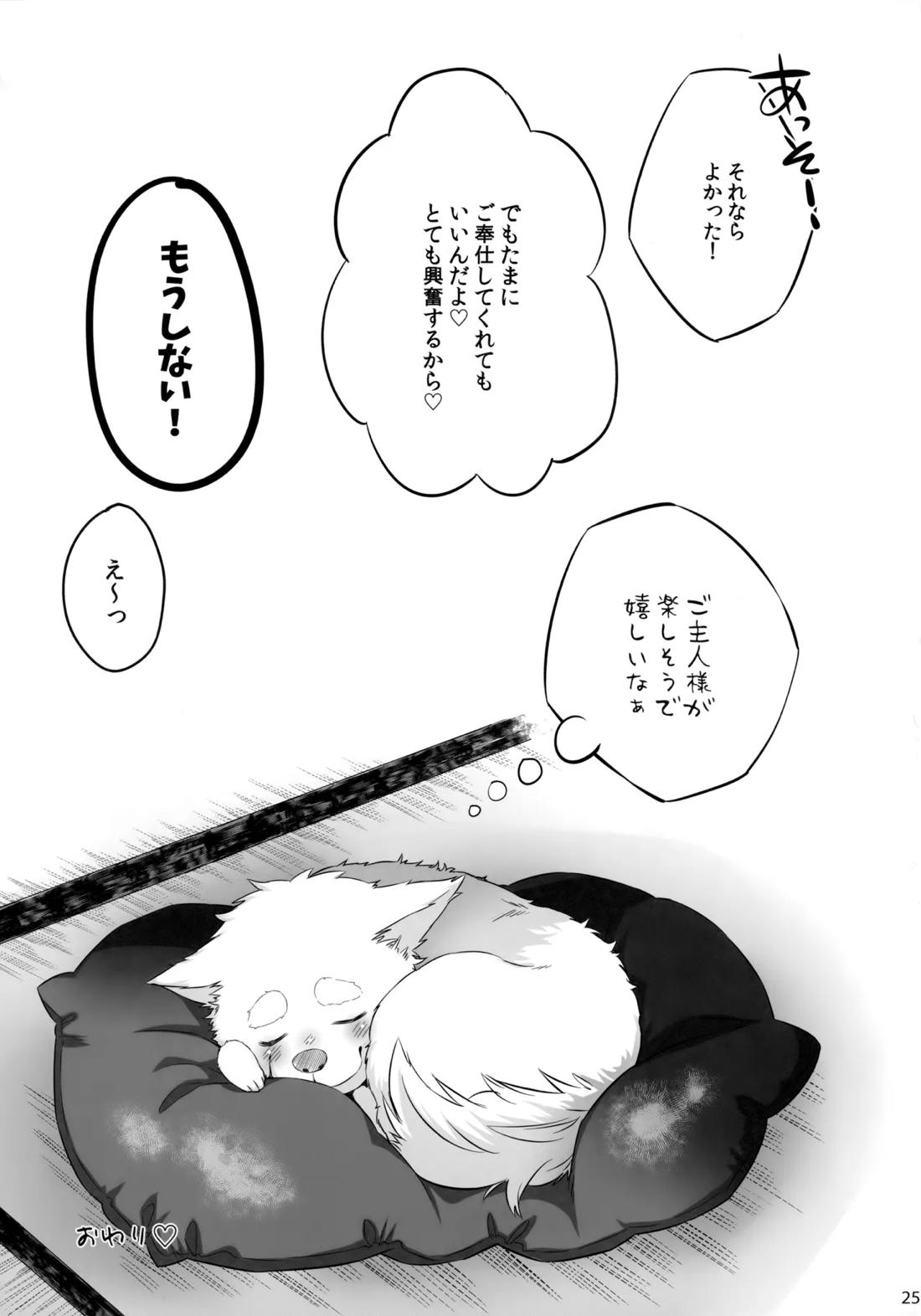 DOKIDOKIGOHOSHI!!! 24ページ