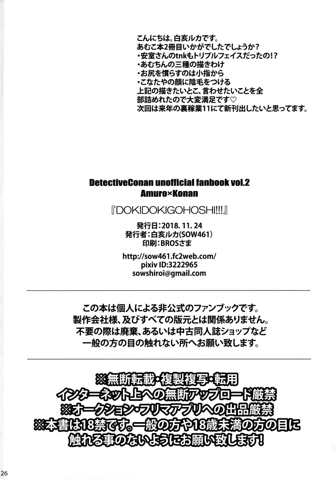 DOKIDOKIGOHOSHI!!! 25ページ