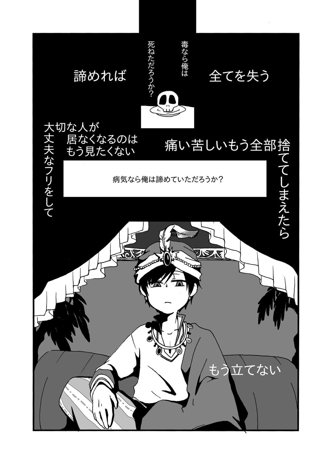 Sirius 6ページ