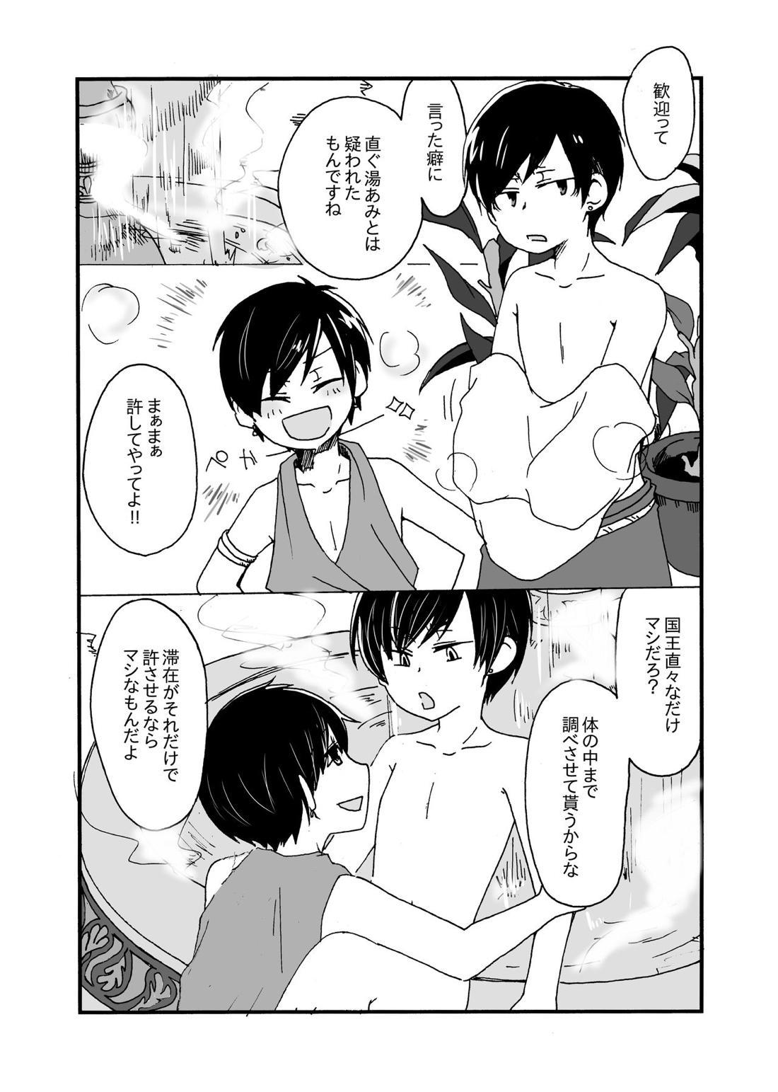 Sirius 8ページ