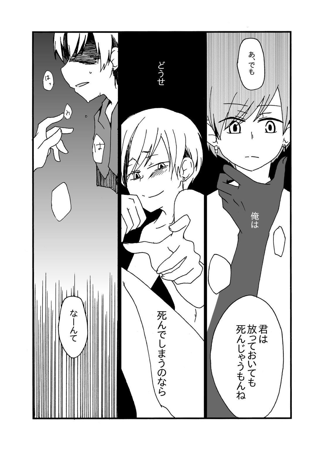 Sirius 10ページ