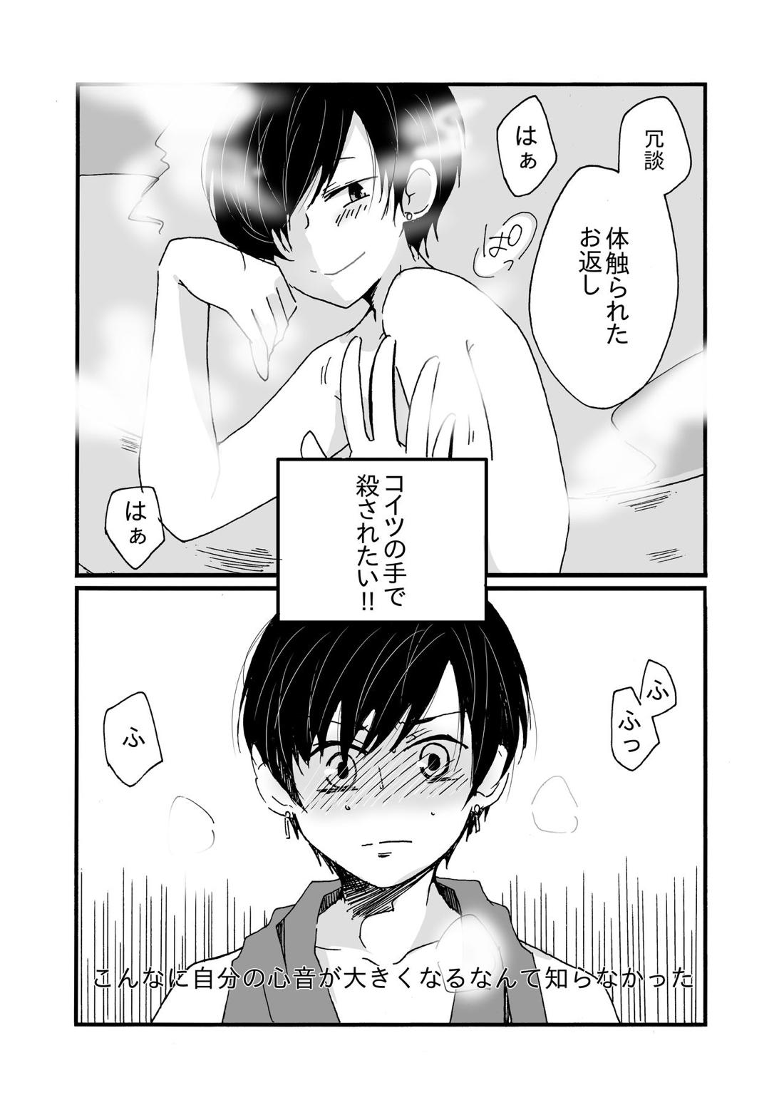 Sirius 11ページ