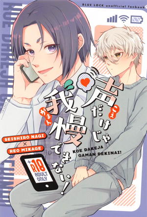 声だけじゃ我慢できない!