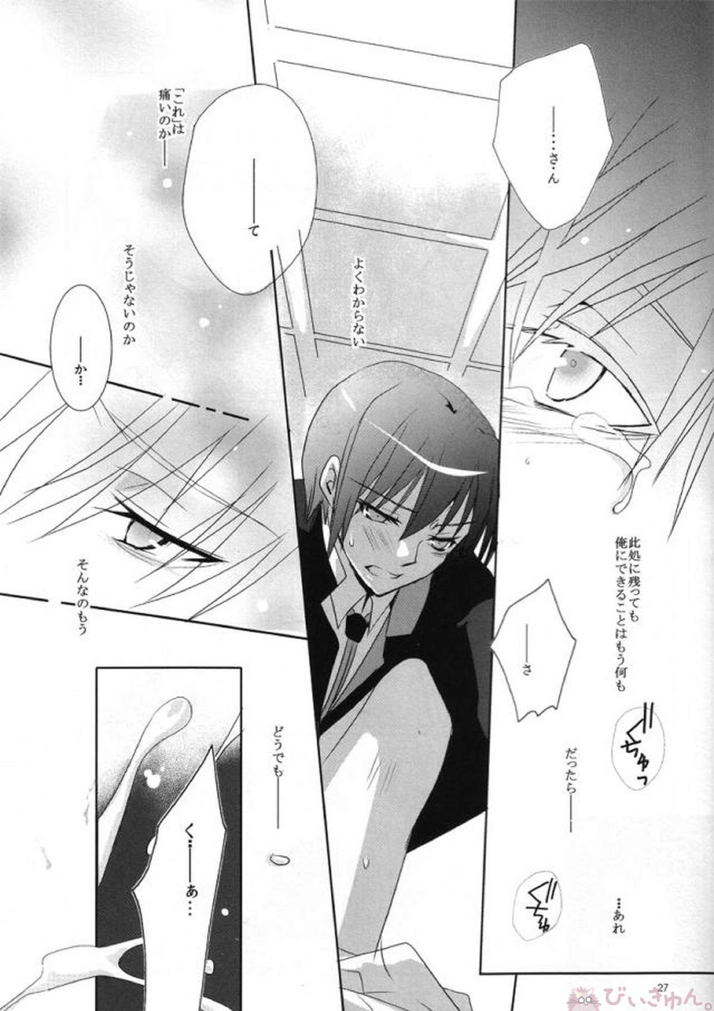 プライマルプロブレム 24ページ