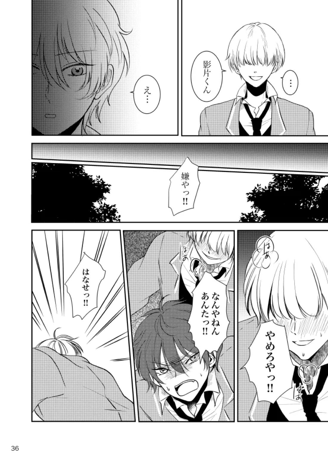 ノルニルは空を舞う 35ページ