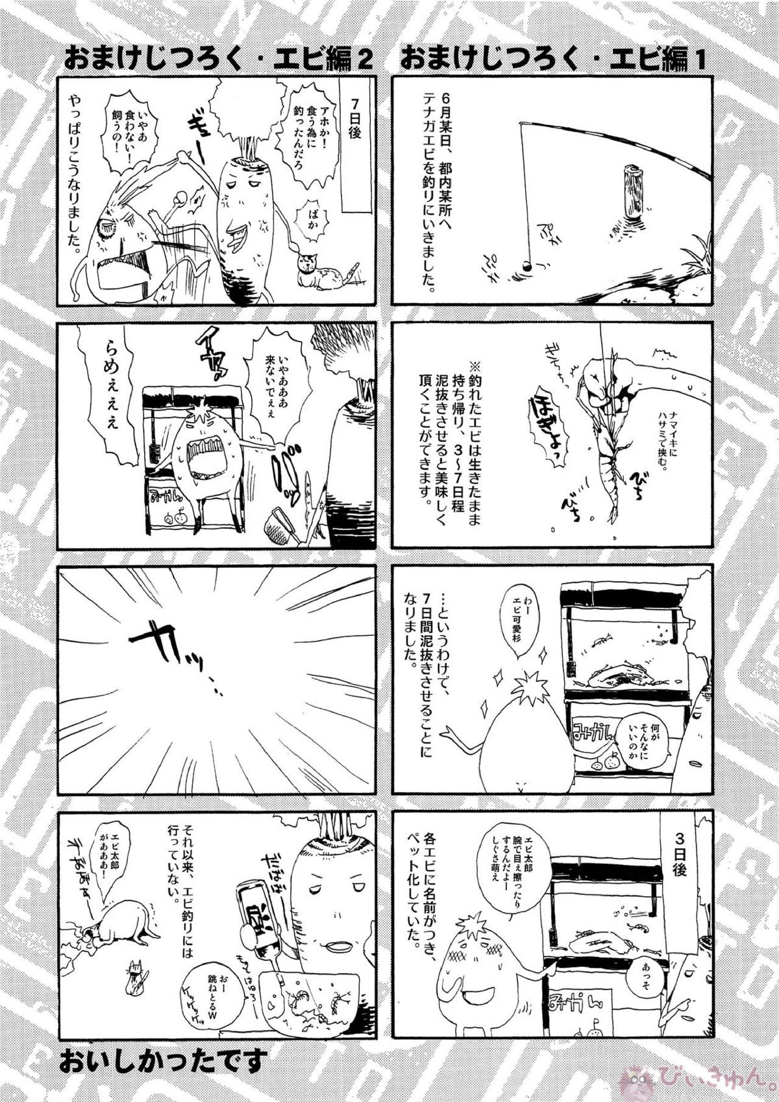 DELUXE UNLIMITED 13ページ
